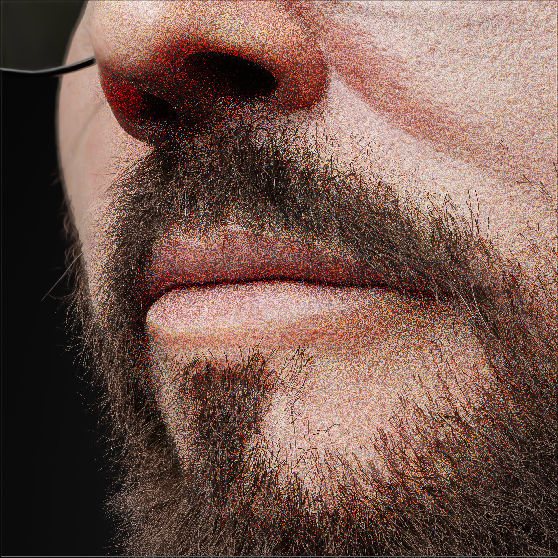 Blender Viewport 