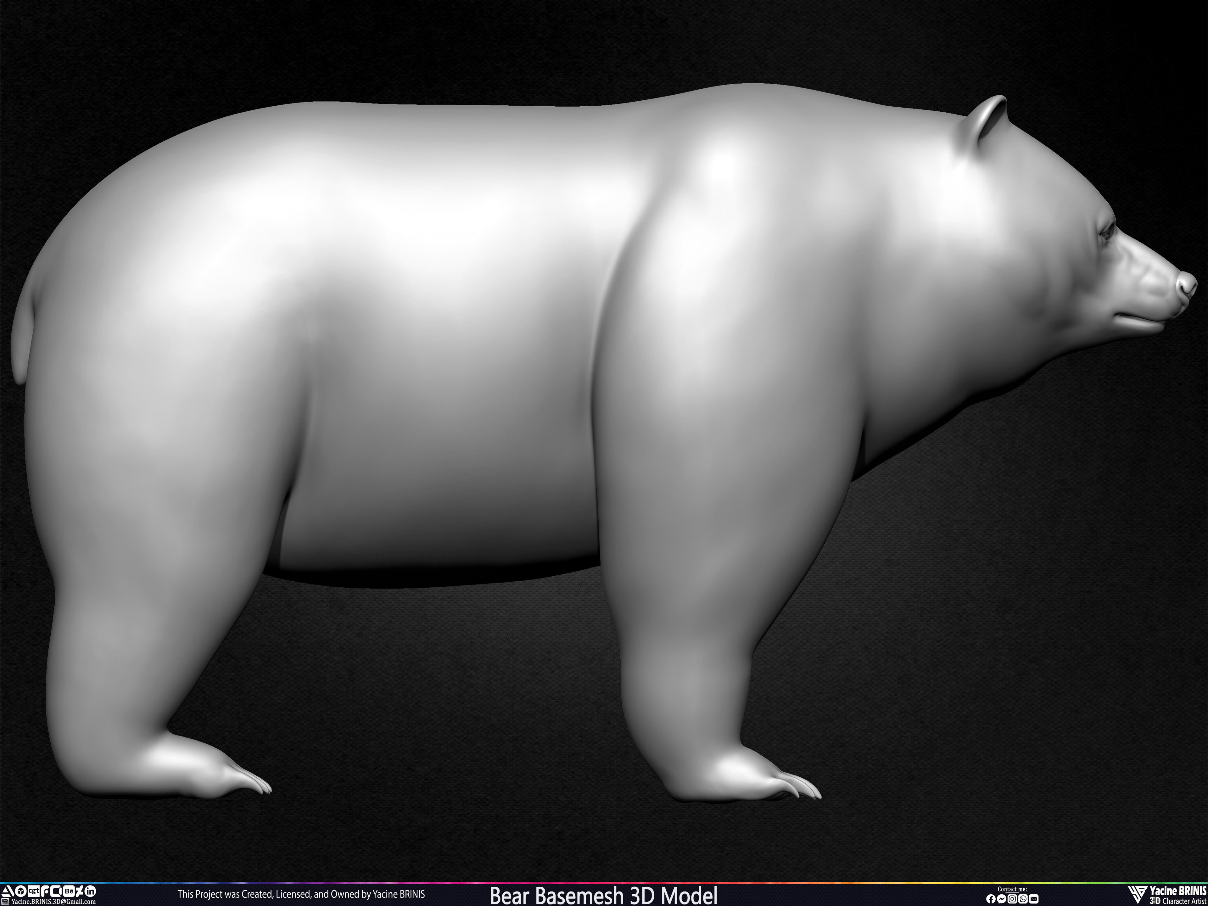 Bear Basemesh 3D Model Sculpted by Yacine BRINIS Set 002