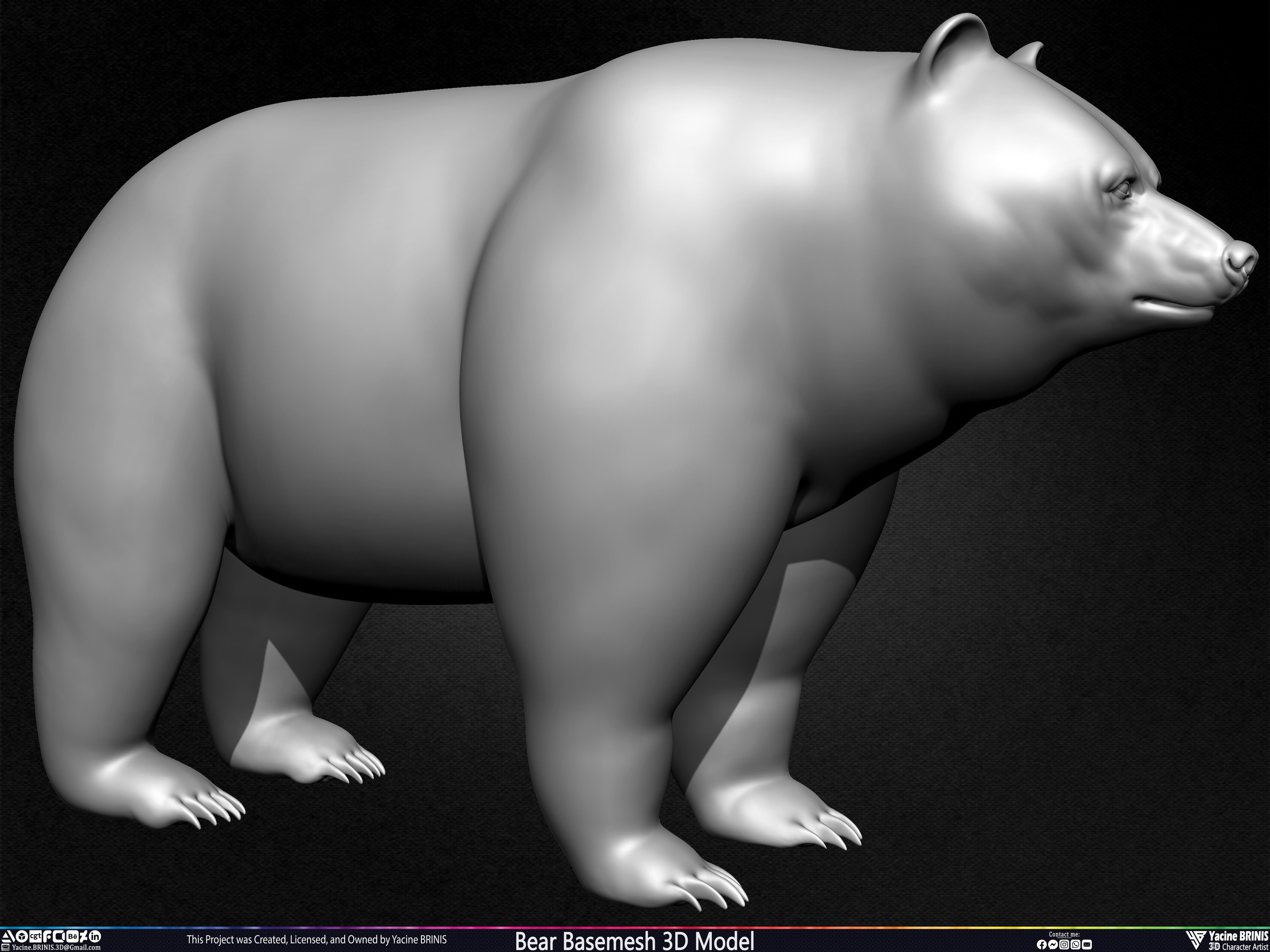 Bear Basemesh 3D Model Sculpted by Yacine BRINIS Set 004