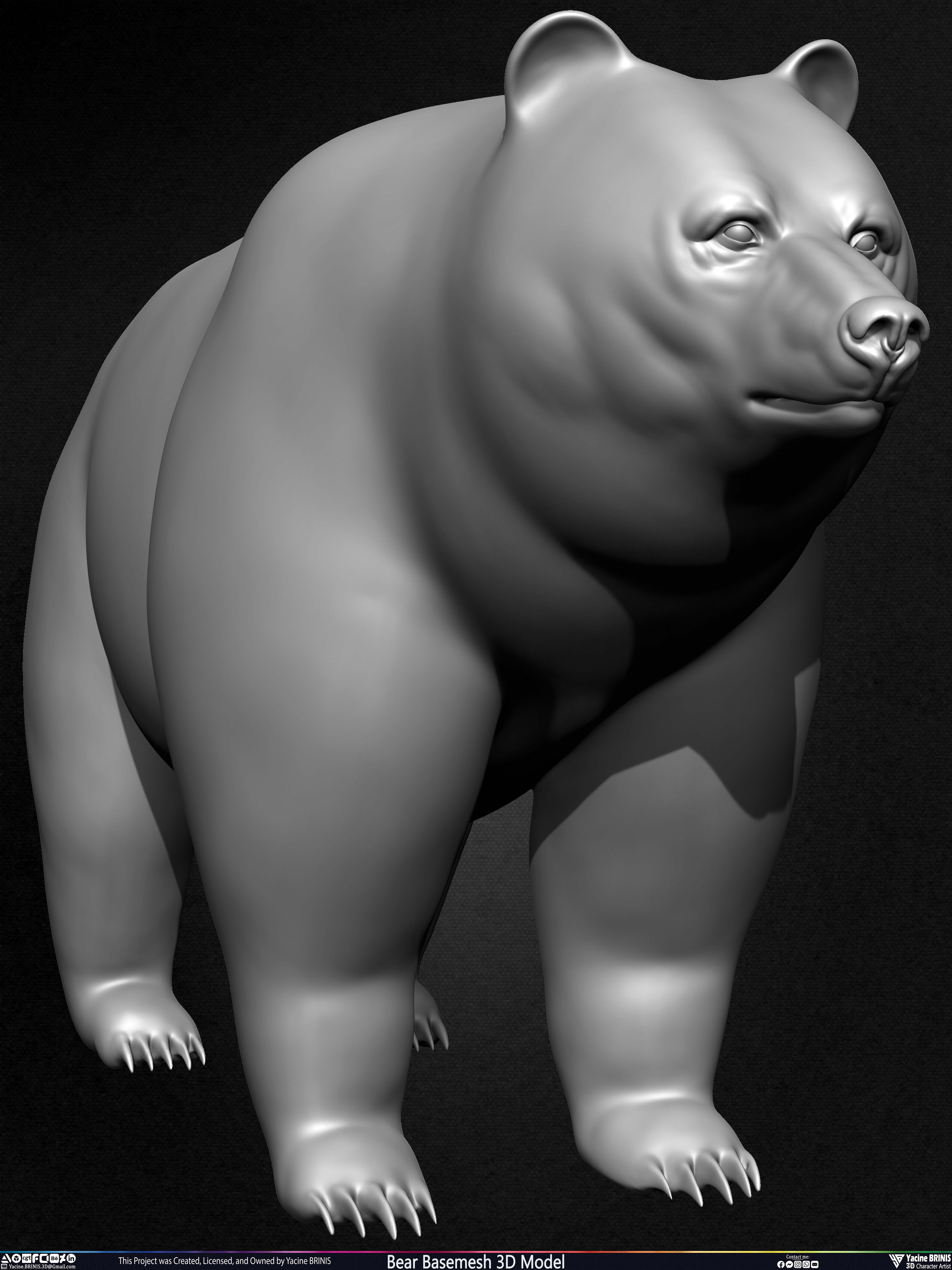 Bear Basemesh 3D Model Sculpted by Yacine BRINIS Set 006