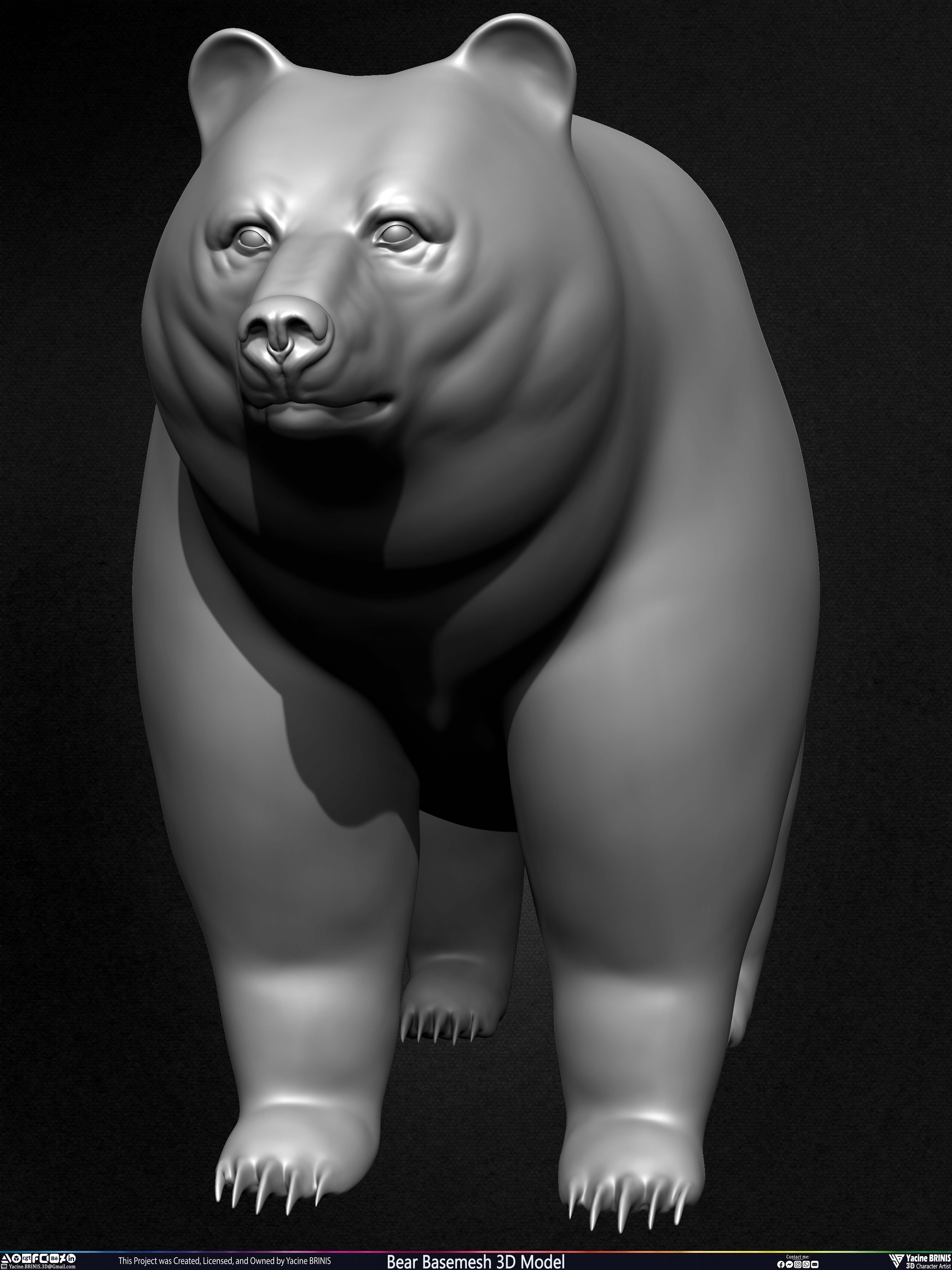 Bear Basemesh 3D Model Sculpted by Yacine BRINIS Set 009
