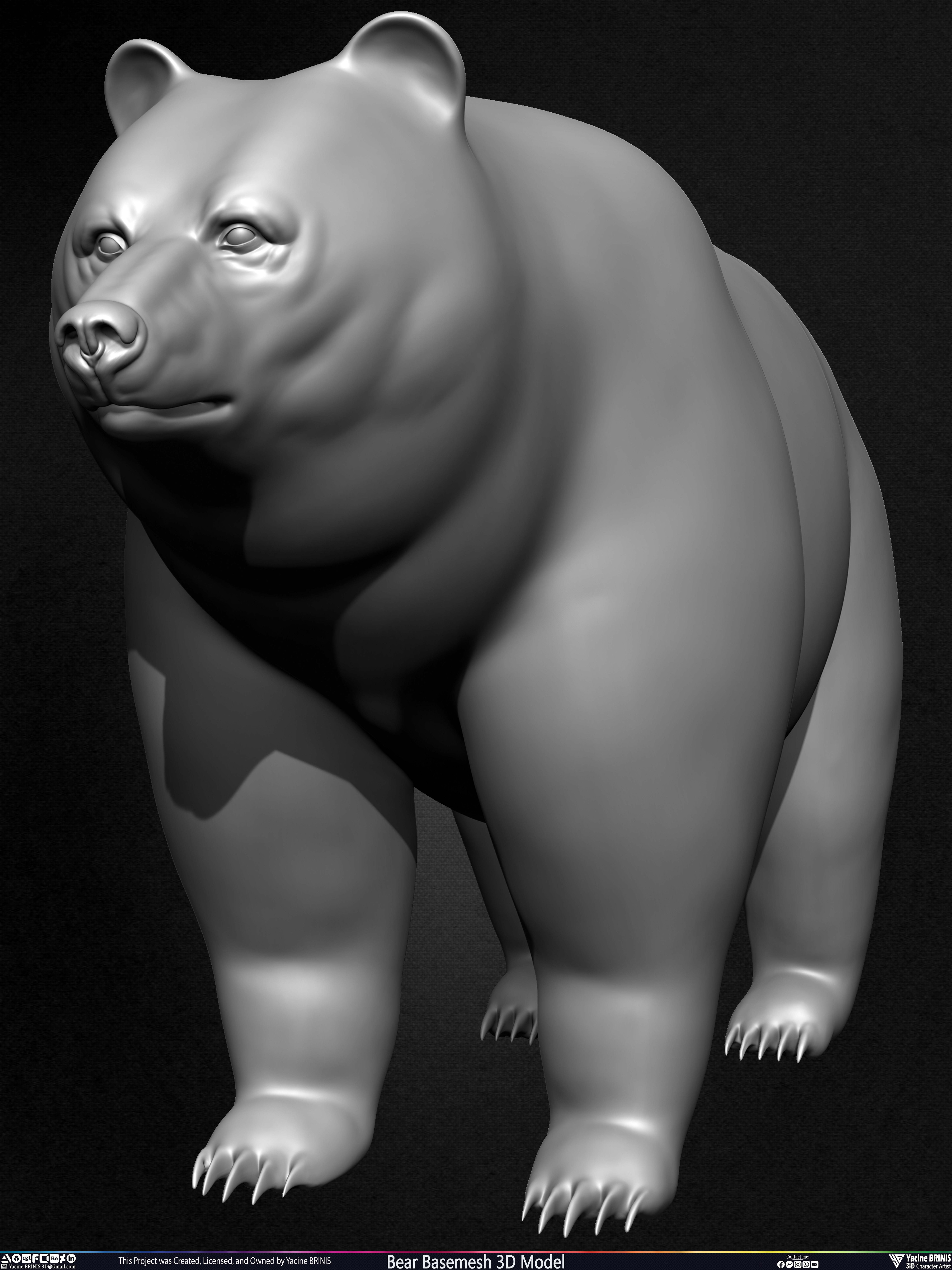 Bear Basemesh 3D Model Sculpted by Yacine BRINIS Set 010