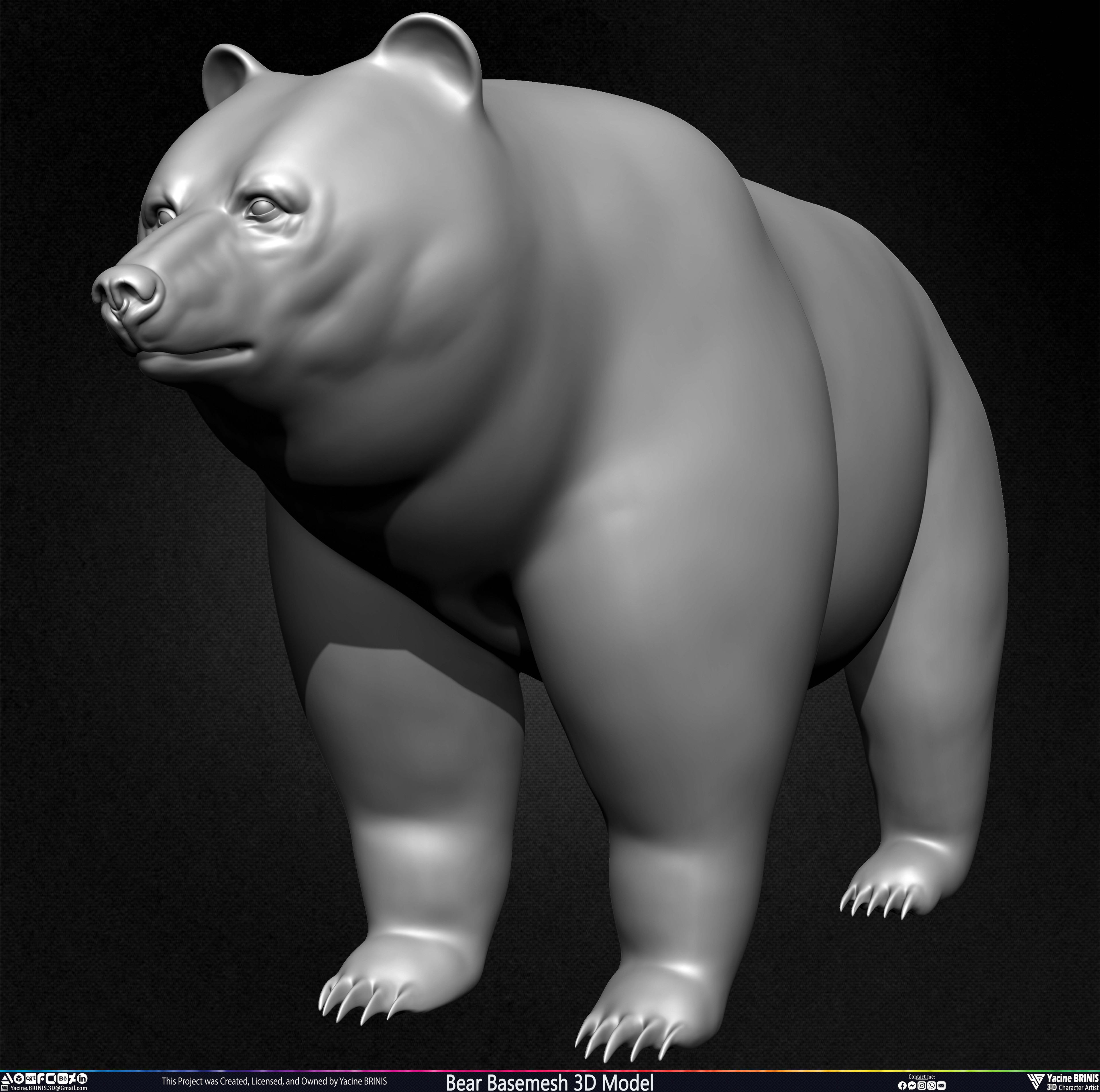 Bear Basemesh 3D Model Sculpted by Yacine BRINIS Set 011