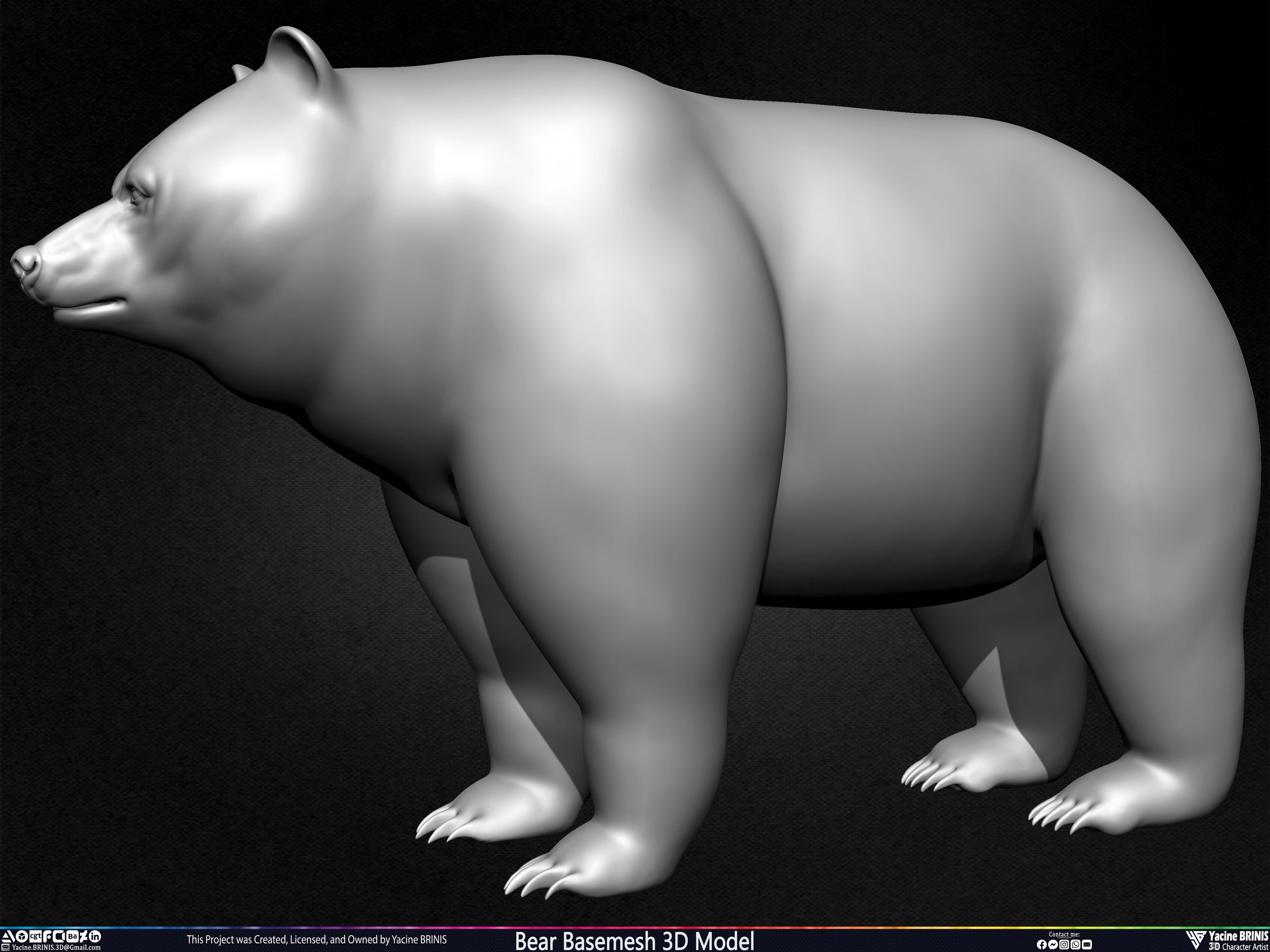 Bear Basemesh 3D Model Sculpted by Yacine BRINIS Set 014