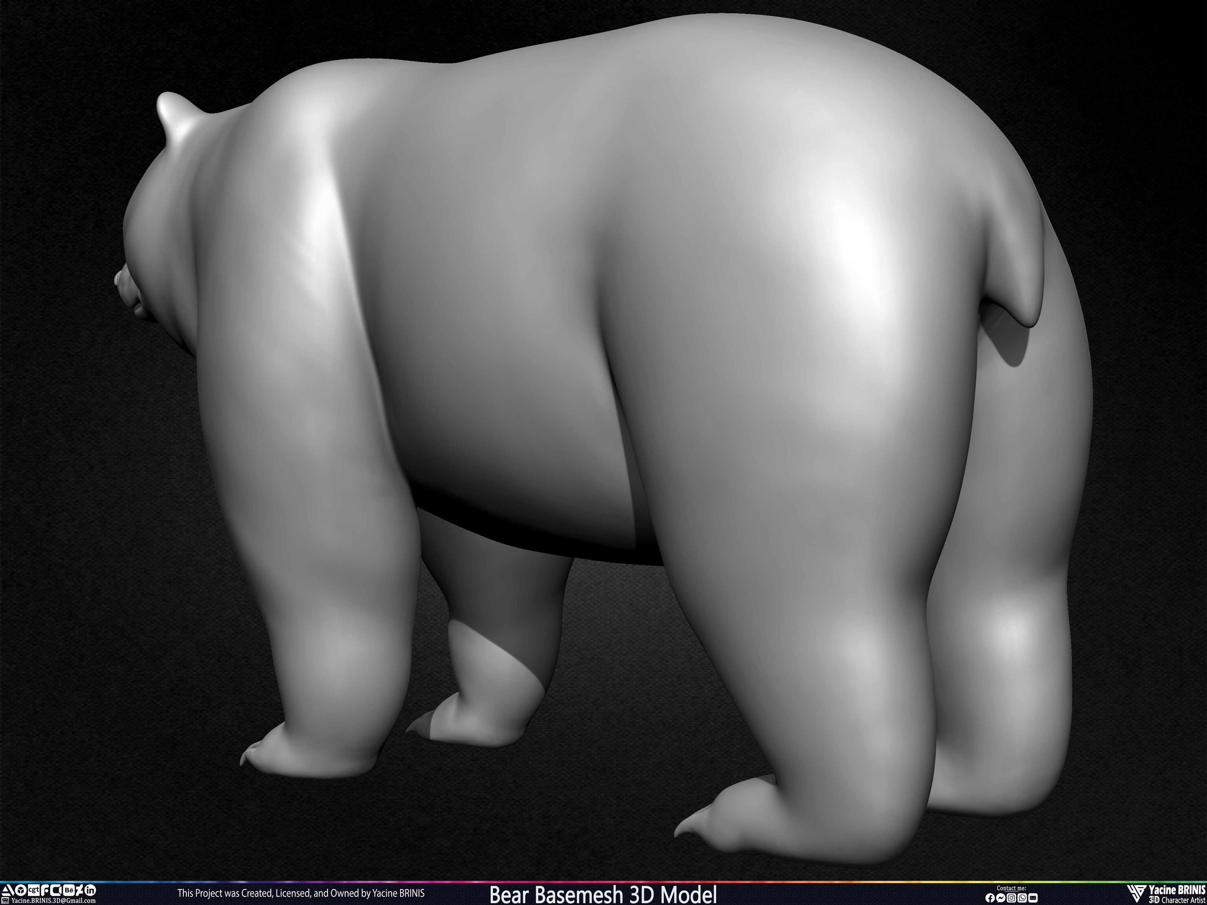 Bear Basemesh 3D Model Sculpted by Yacine BRINIS Set 016