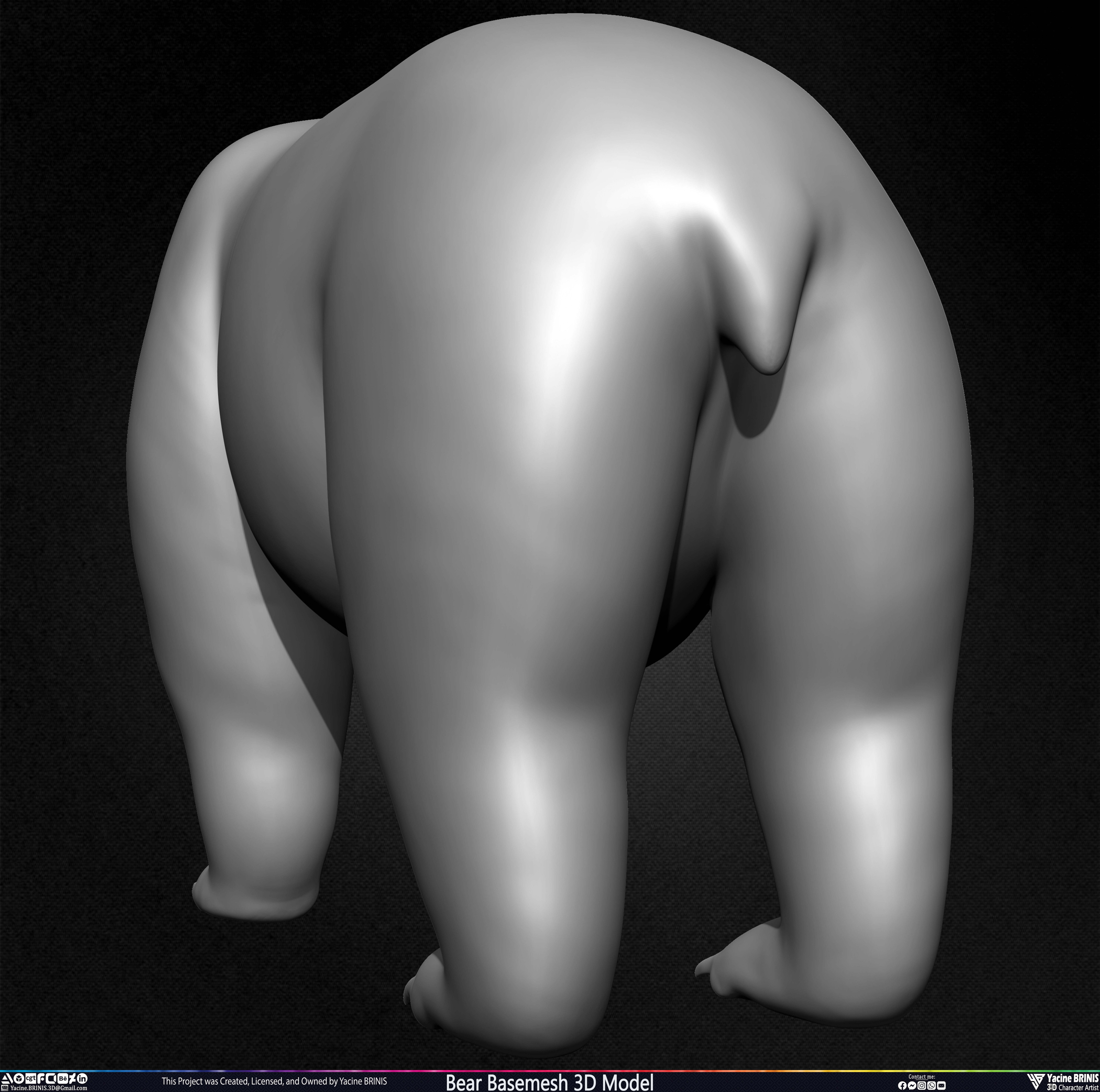Bear Basemesh 3D Model Sculpted by Yacine BRINIS Set 017