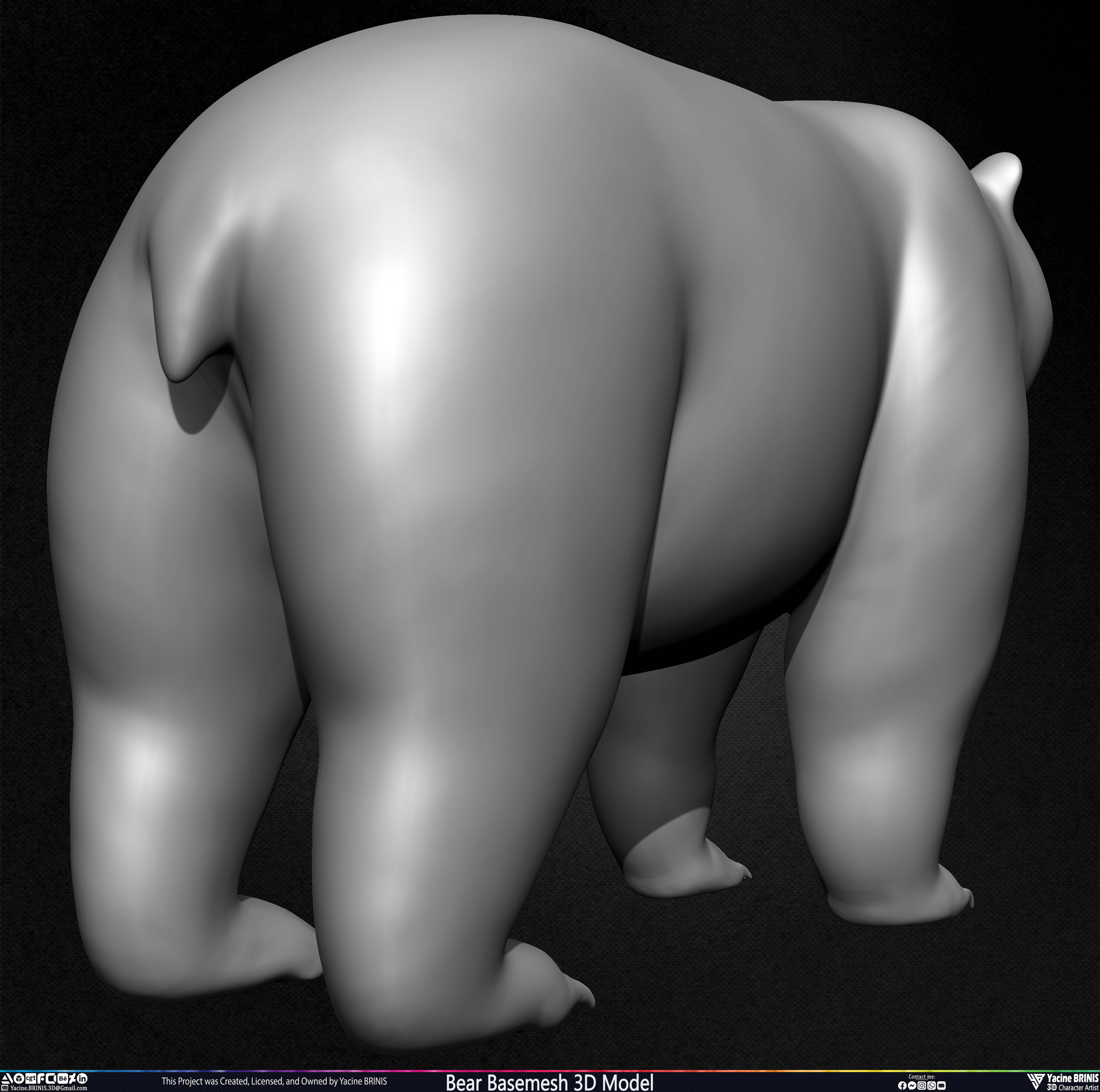 Bear Basemesh 3D Model Sculpted by Yacine BRINIS Set 018