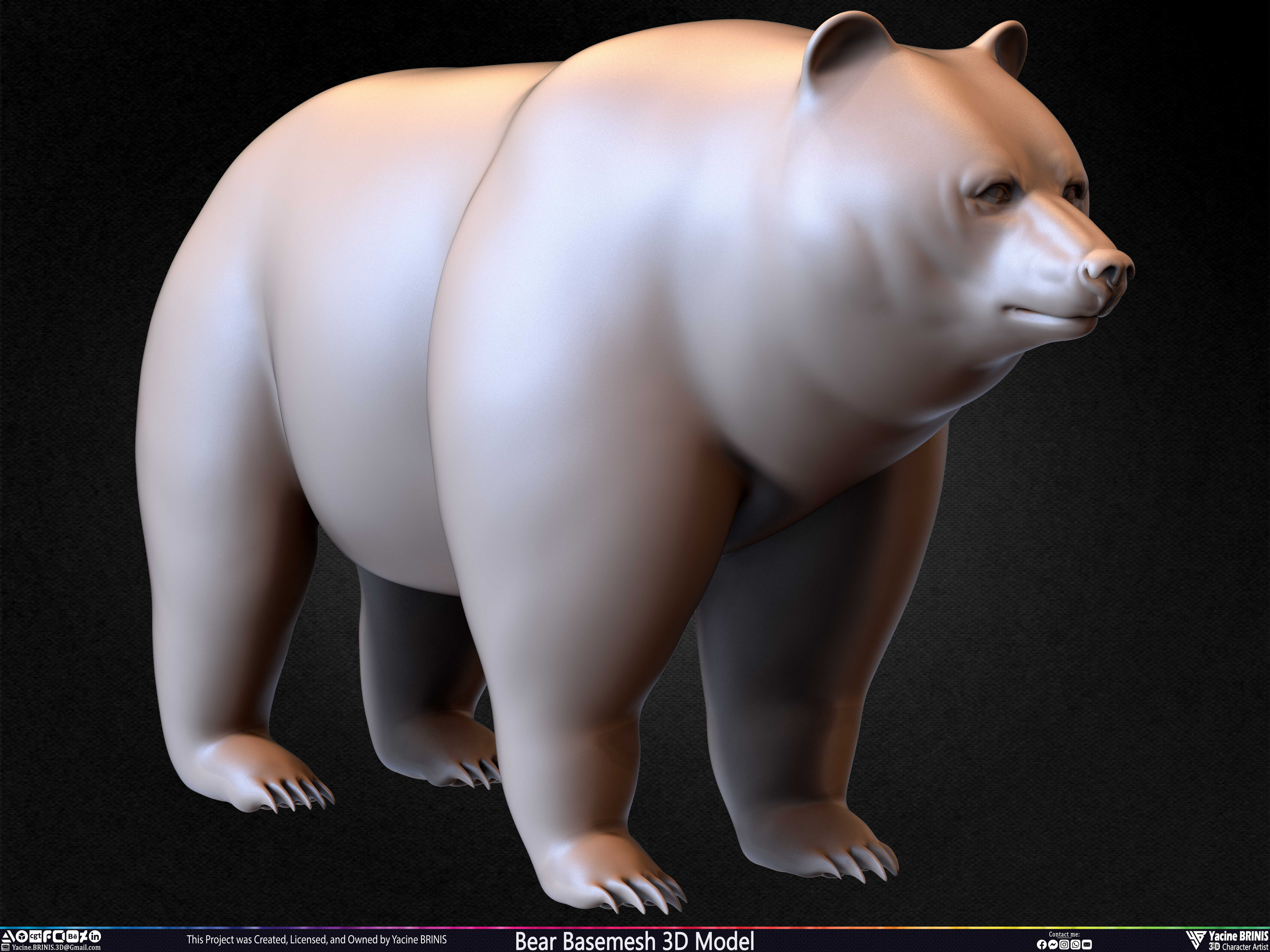 Bear Basemesh 3D Model Sculpted by Yacine BRINIS Set 020