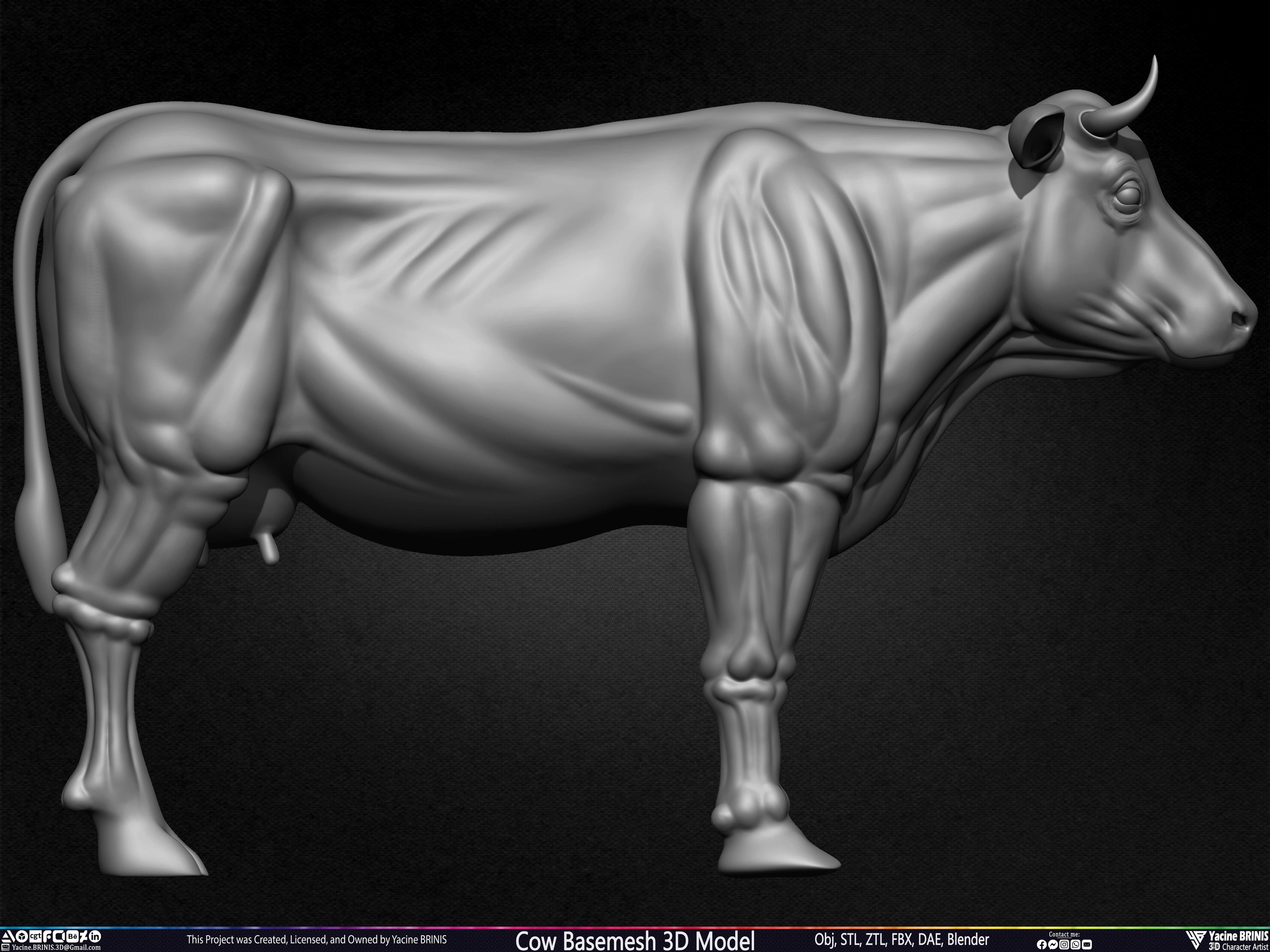 Cow Basemesh 3D Model Sculpted By Yacine BRINIS Set 002