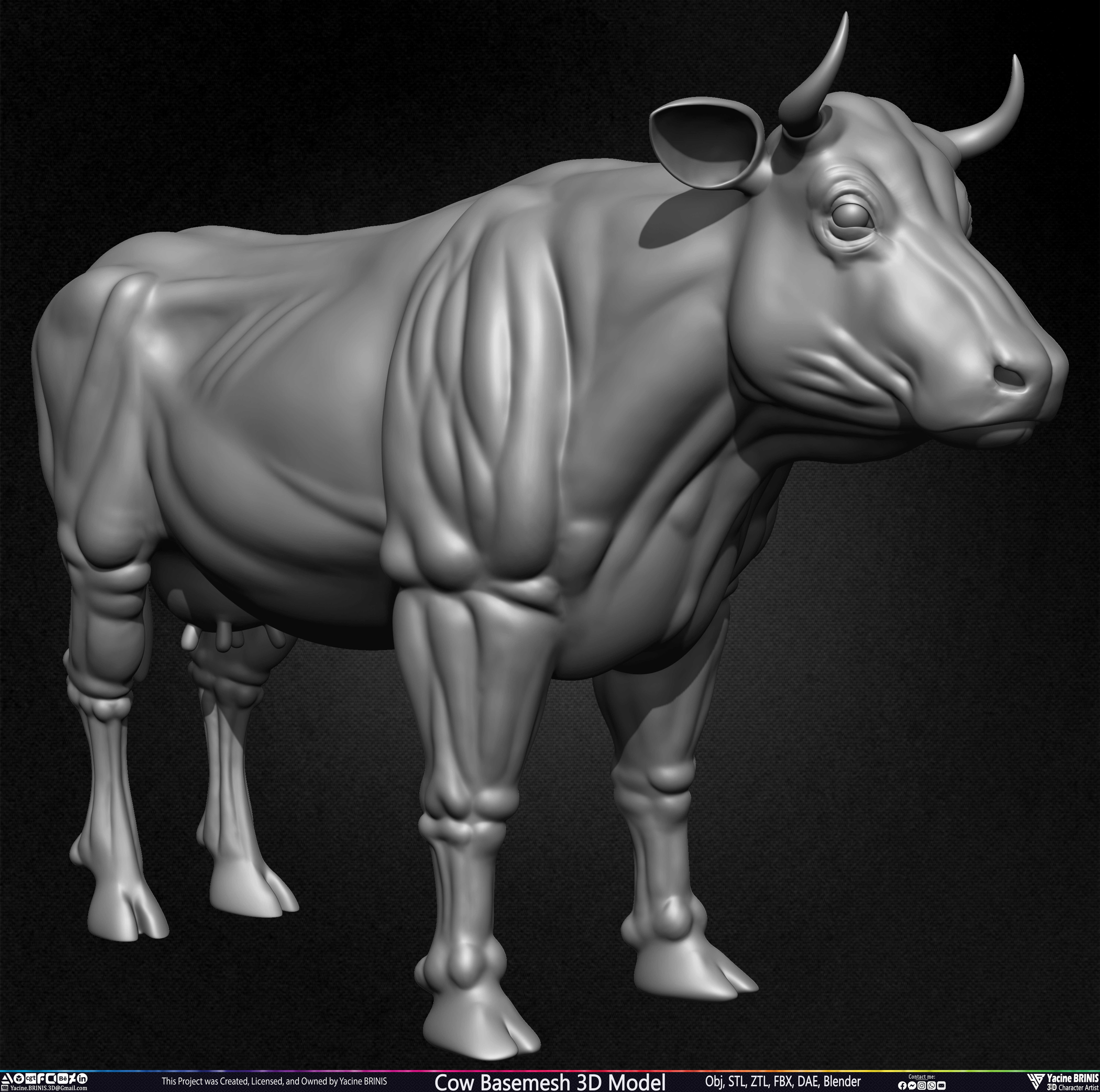Cow Basemesh 3D Model Sculpted By Yacine BRINIS Set 005
