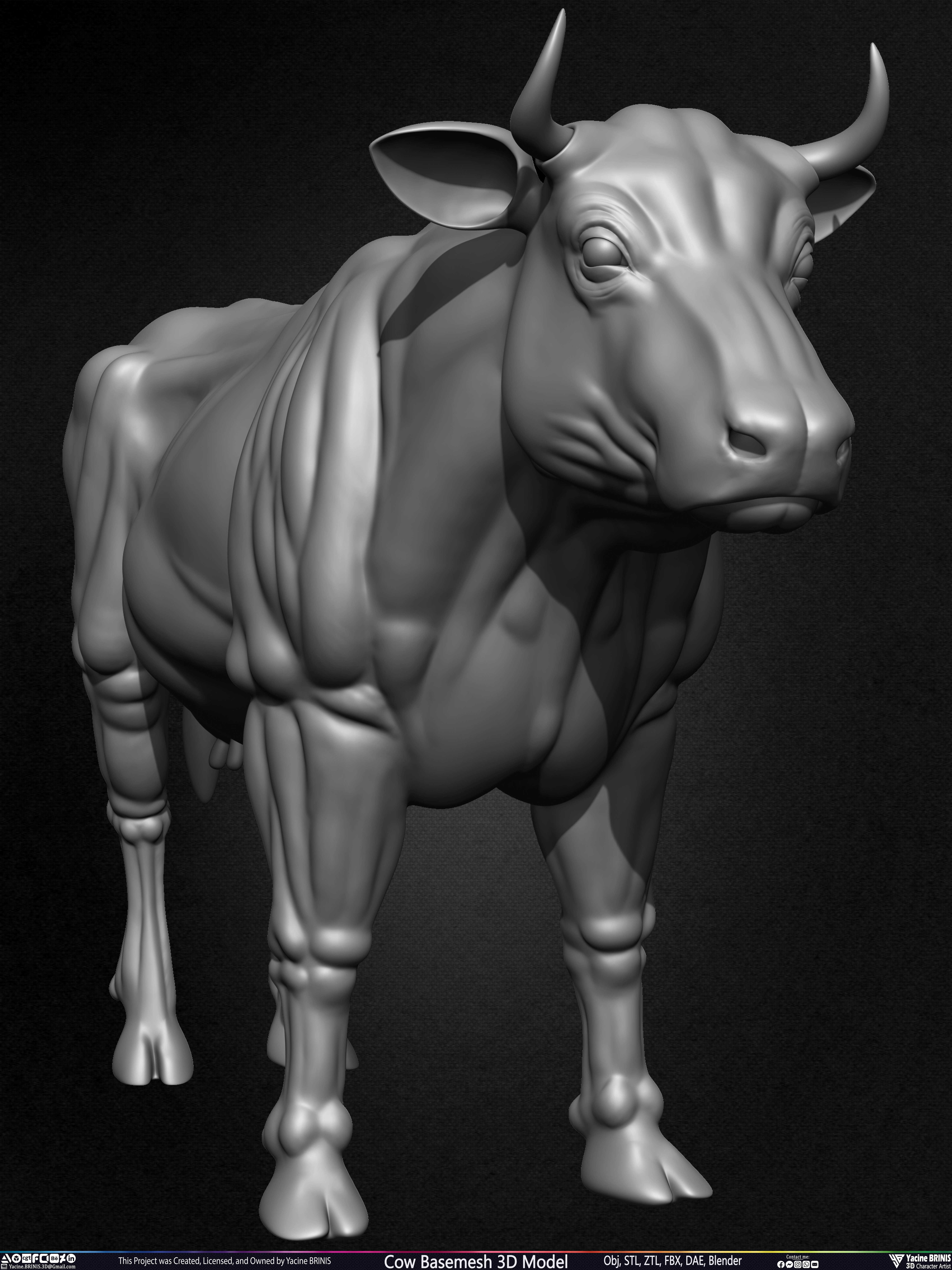 Cow Basemesh 3D Model Sculpted By Yacine BRINIS Set 006