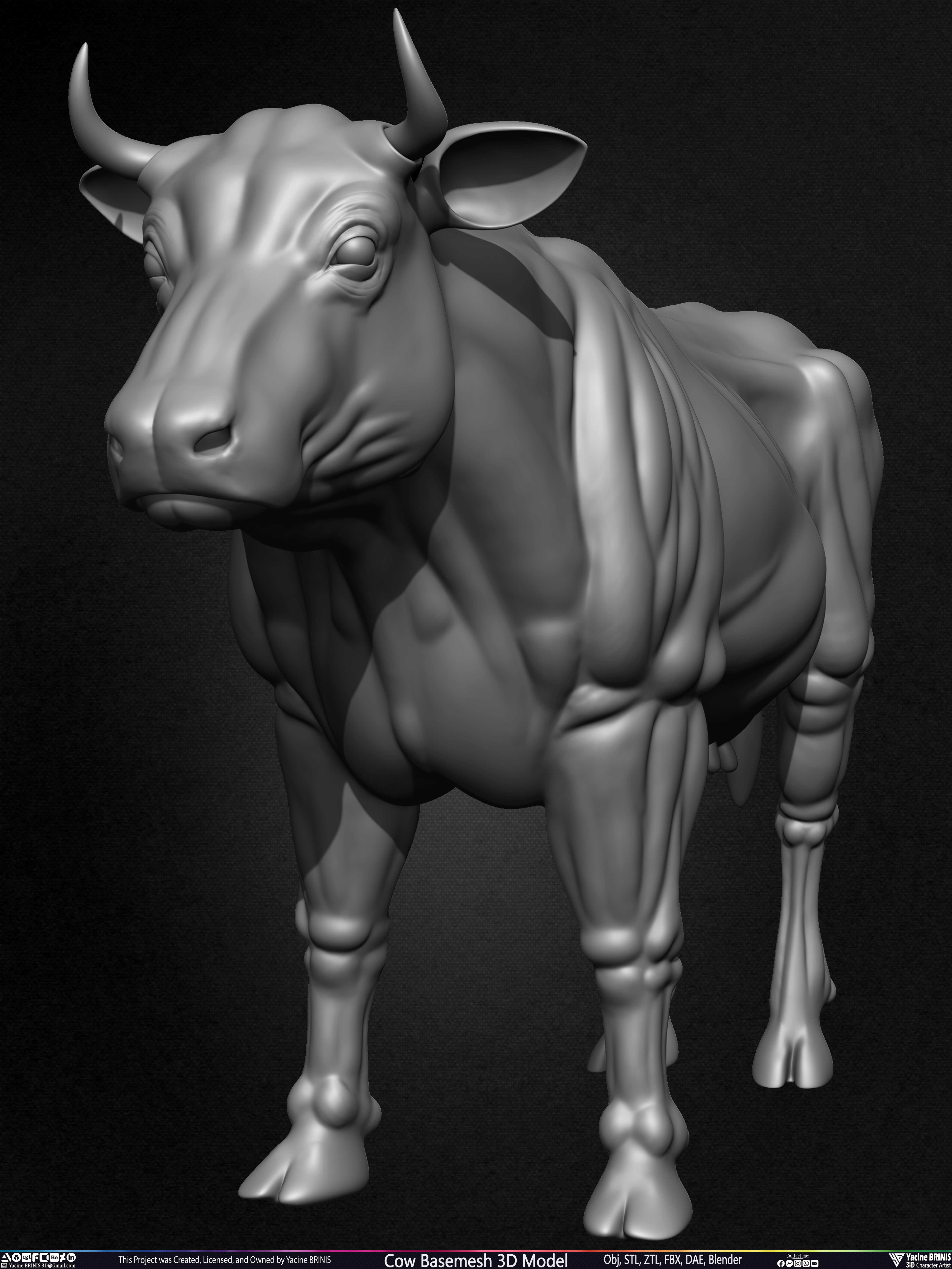 Cow Basemesh 3D Model Sculpted By Yacine BRINIS Set 009