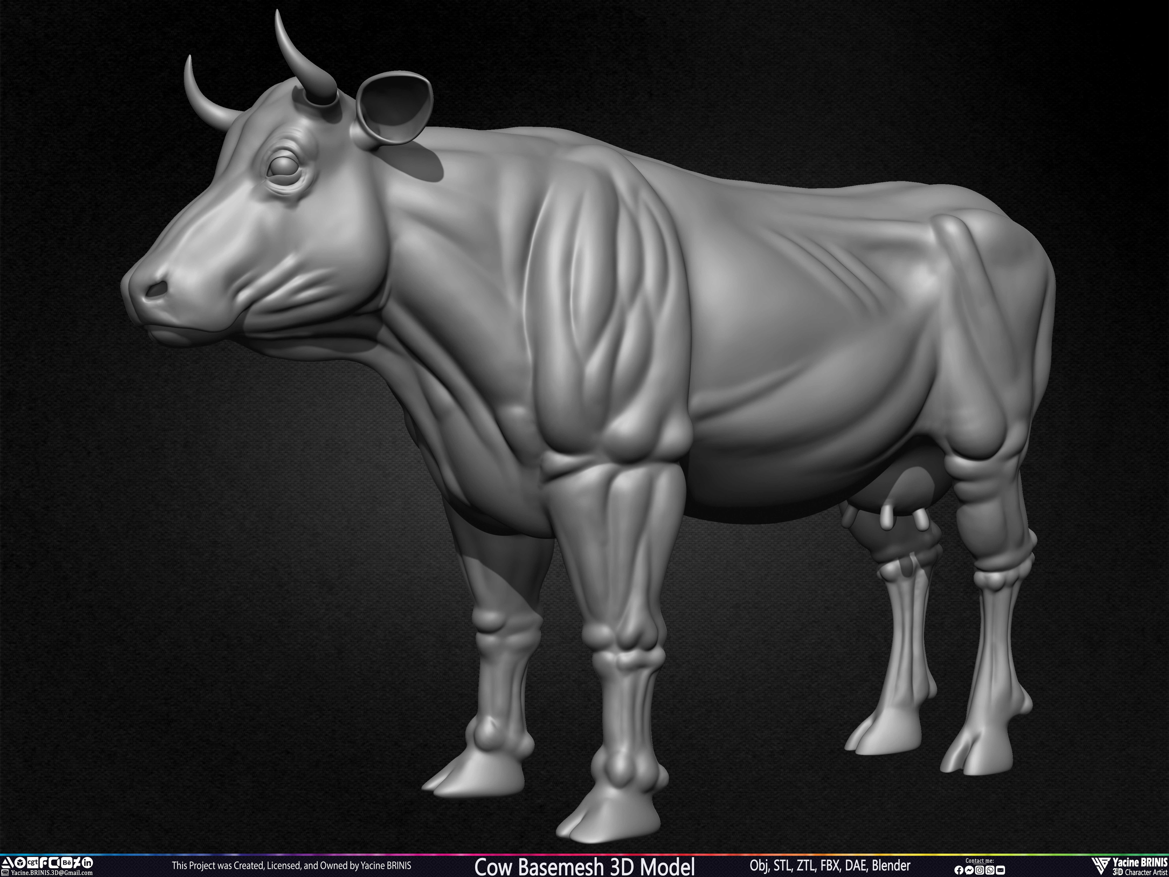 Cow Basemesh 3D Model Sculpted By Yacine BRINIS Set 011