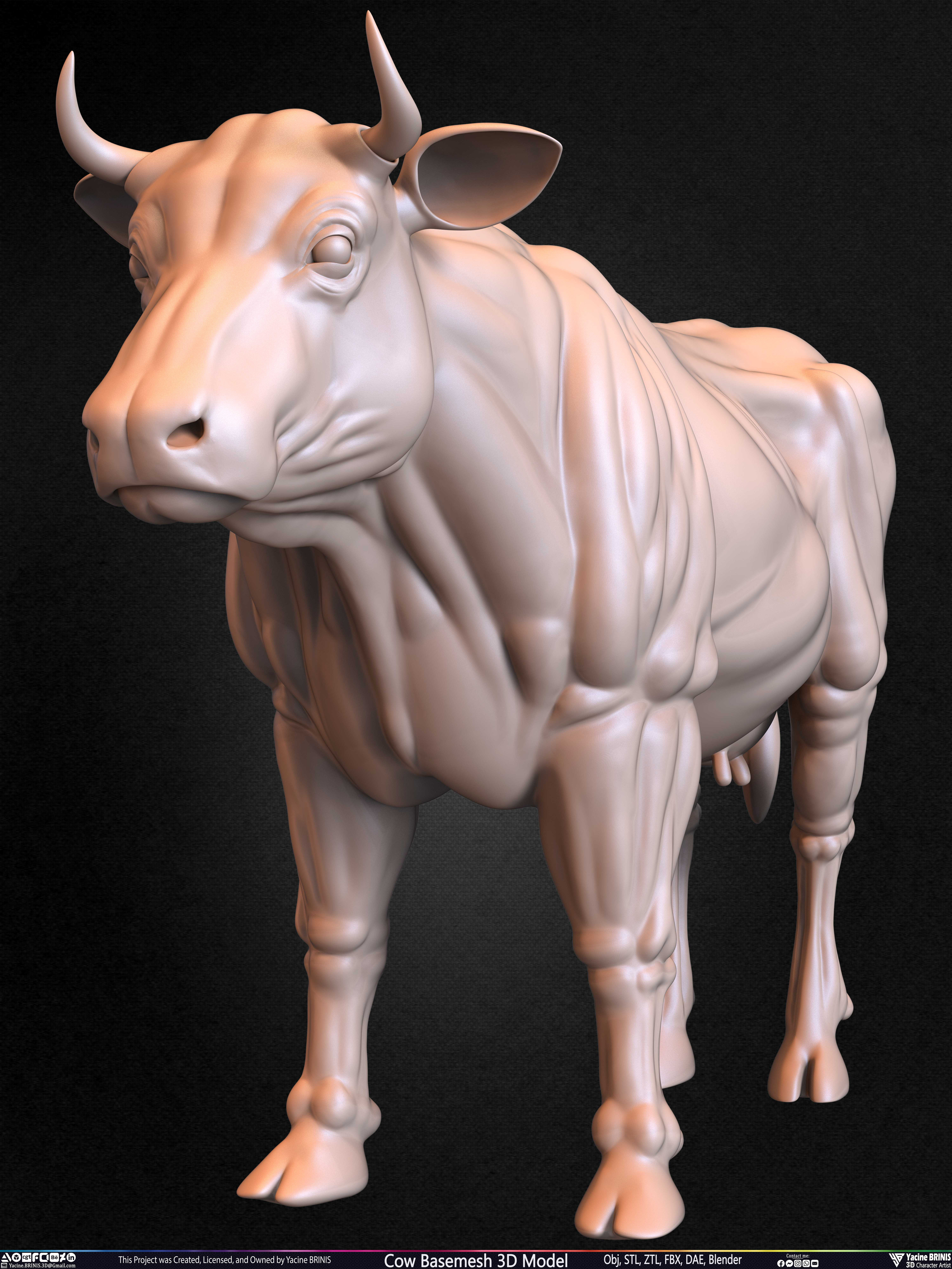 Cow Basemesh 3D Model Sculpted By Yacine BRINIS Set 015