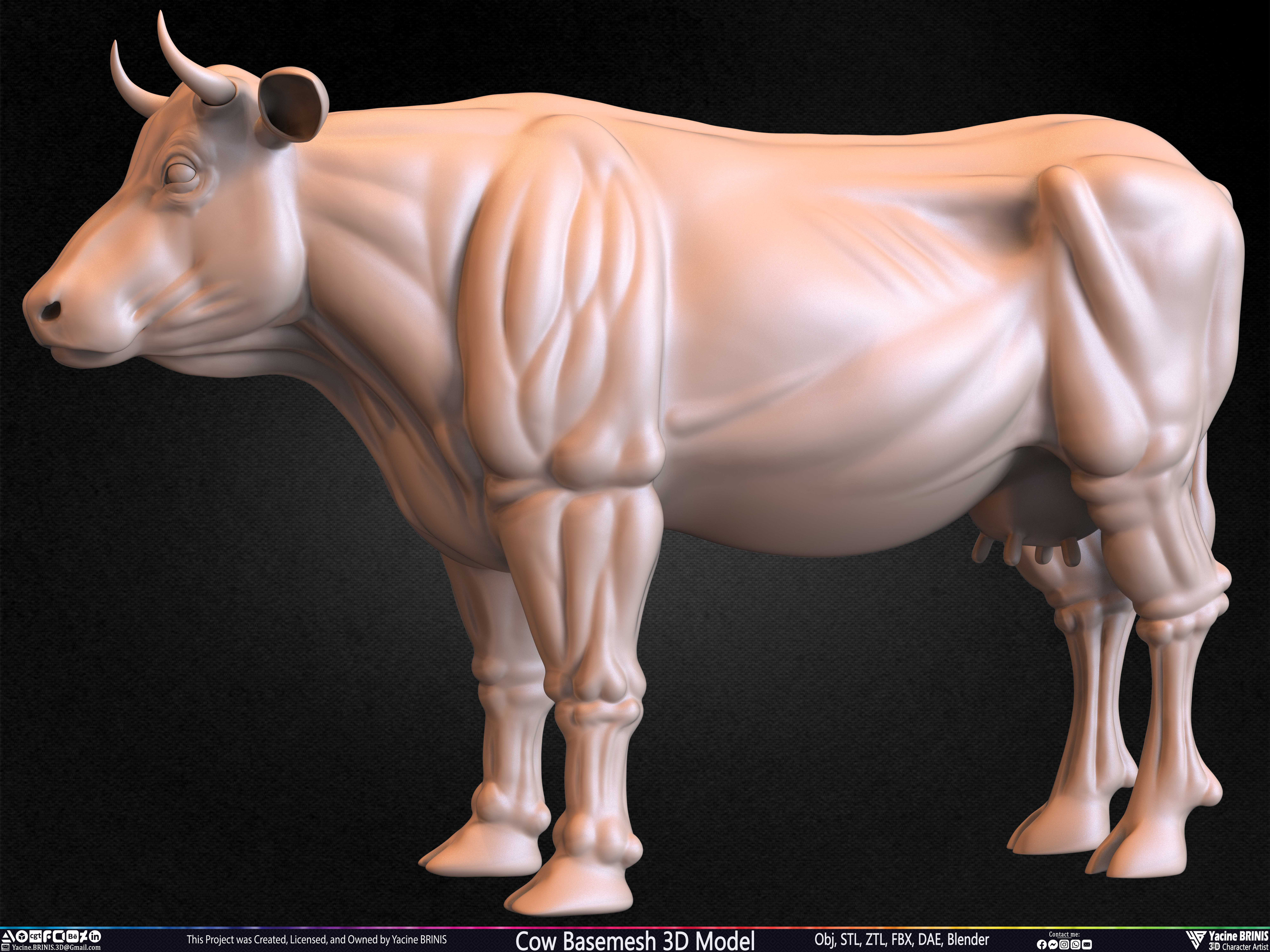 Cow Basemesh 3D Model Sculpted By Yacine BRINIS Set 017