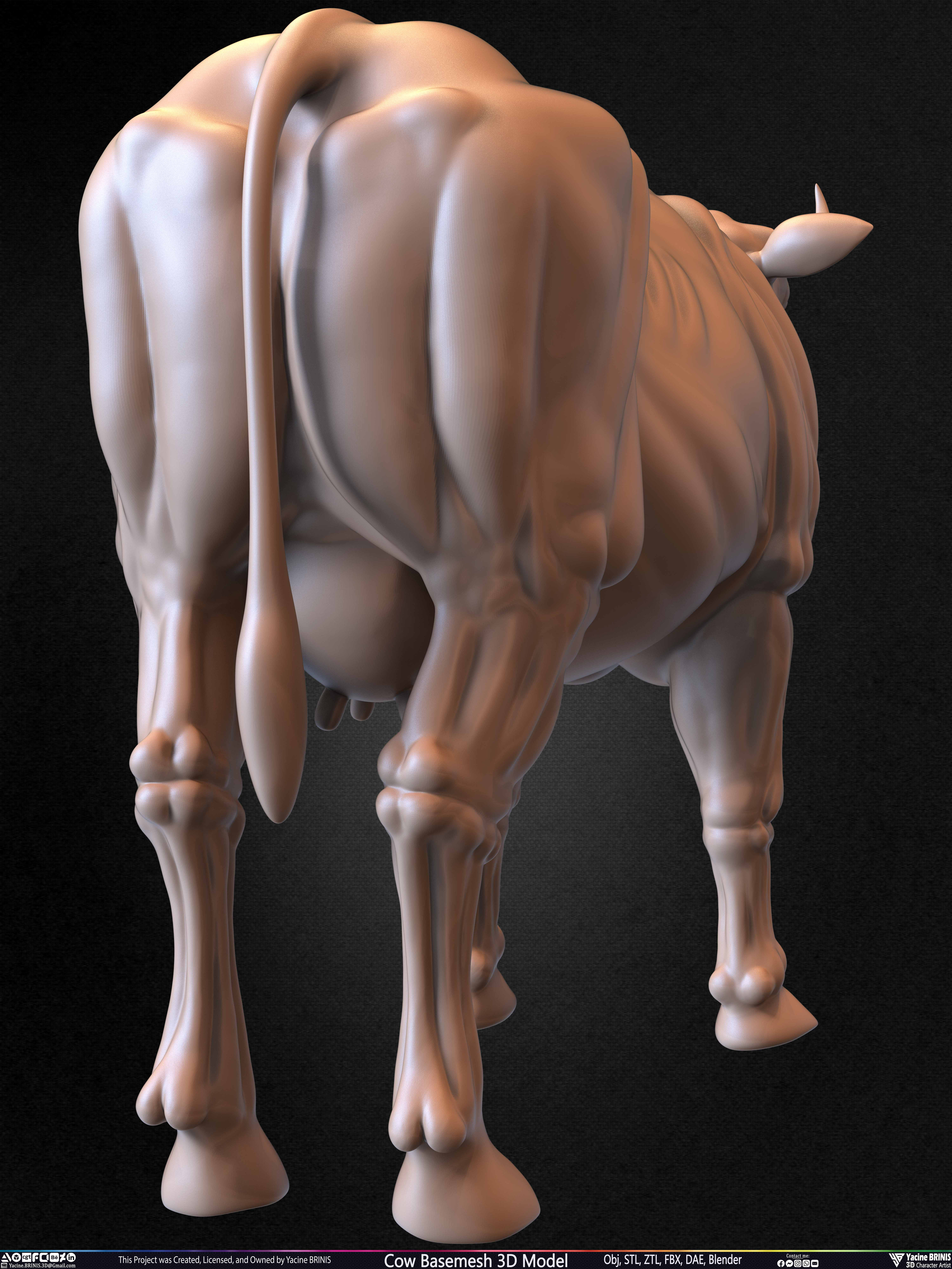 Cow Basemesh 3D Model Sculpted By Yacine BRINIS Set 019