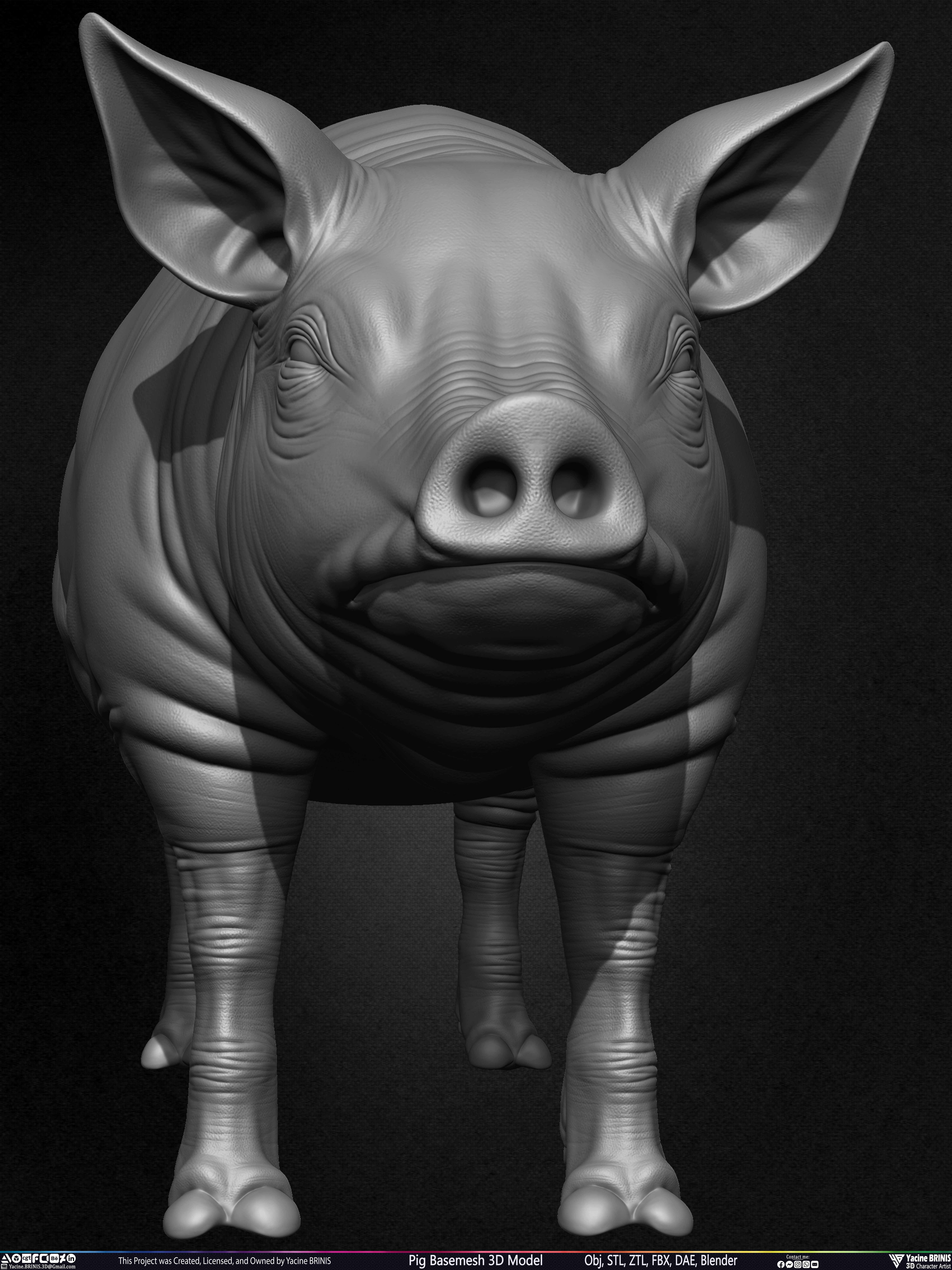 Pig Basemesh 3D Model Sculpted by Yacine BRINIS Set 007