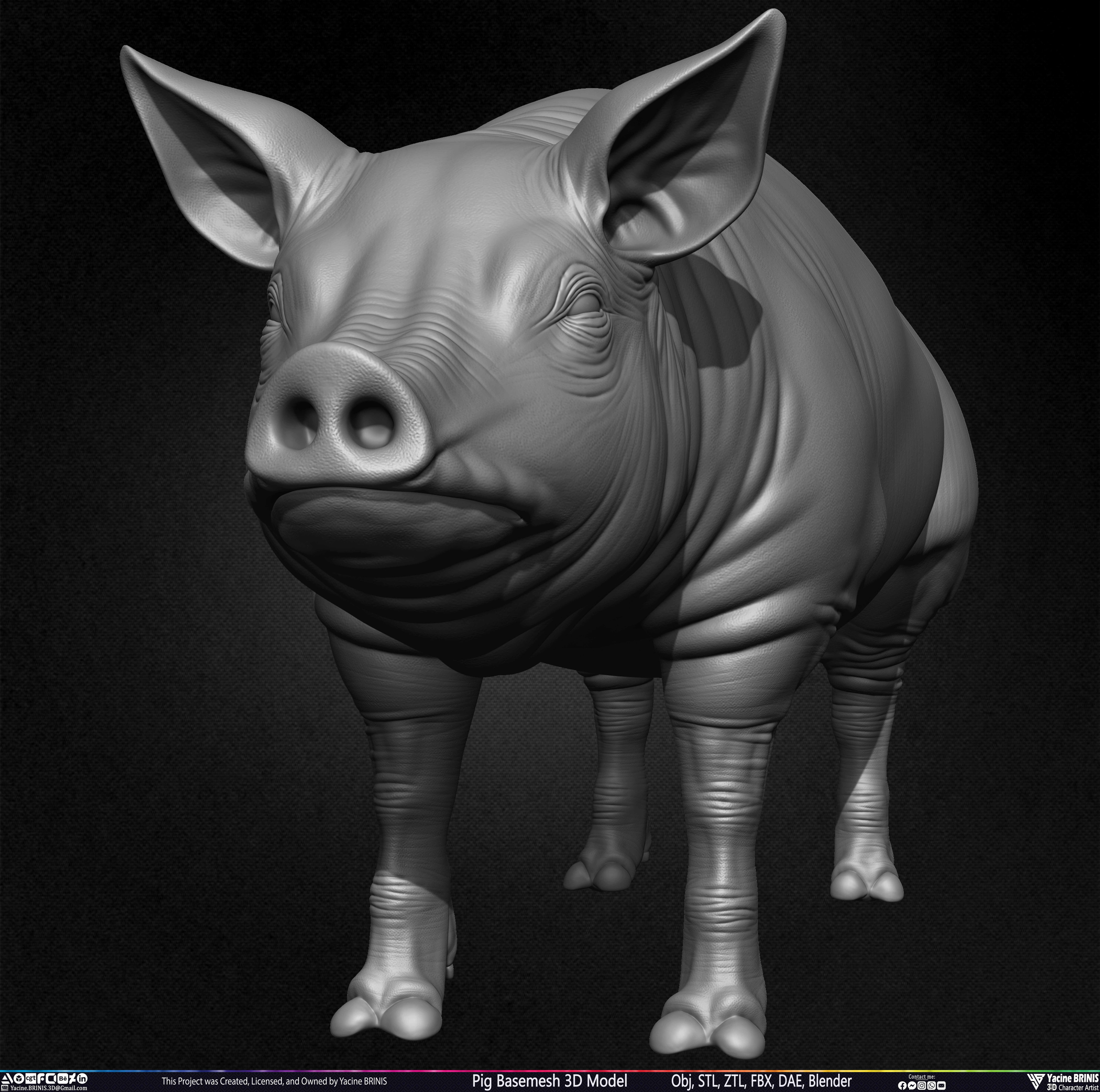 Pig Basemesh 3D Model Sculpted by Yacine BRINIS Set 009