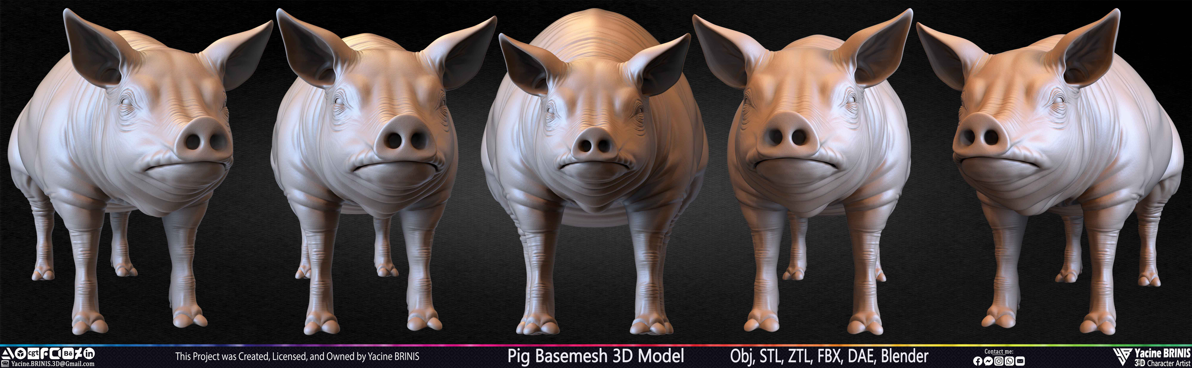 Pig Basemesh 3D Model Sculpted by Yacine BRINIS Set 025
