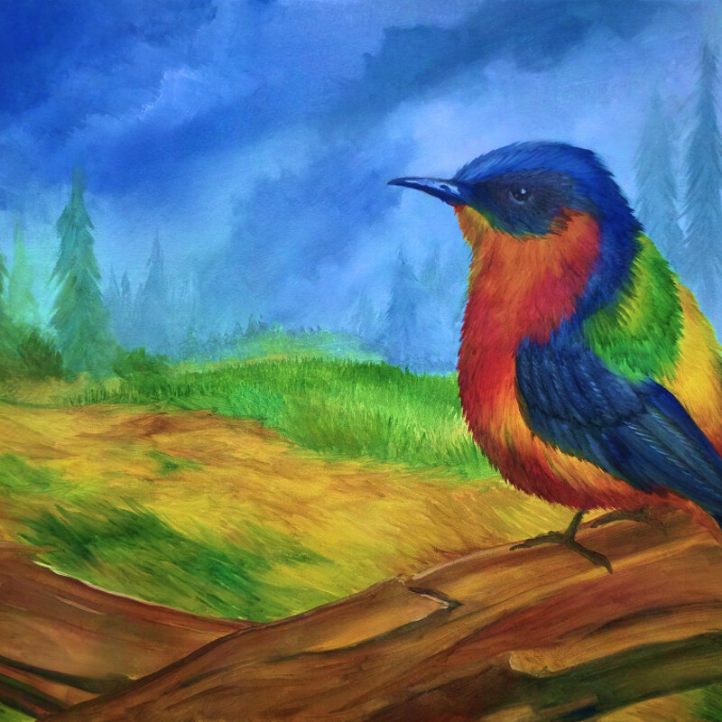 Bird Forest