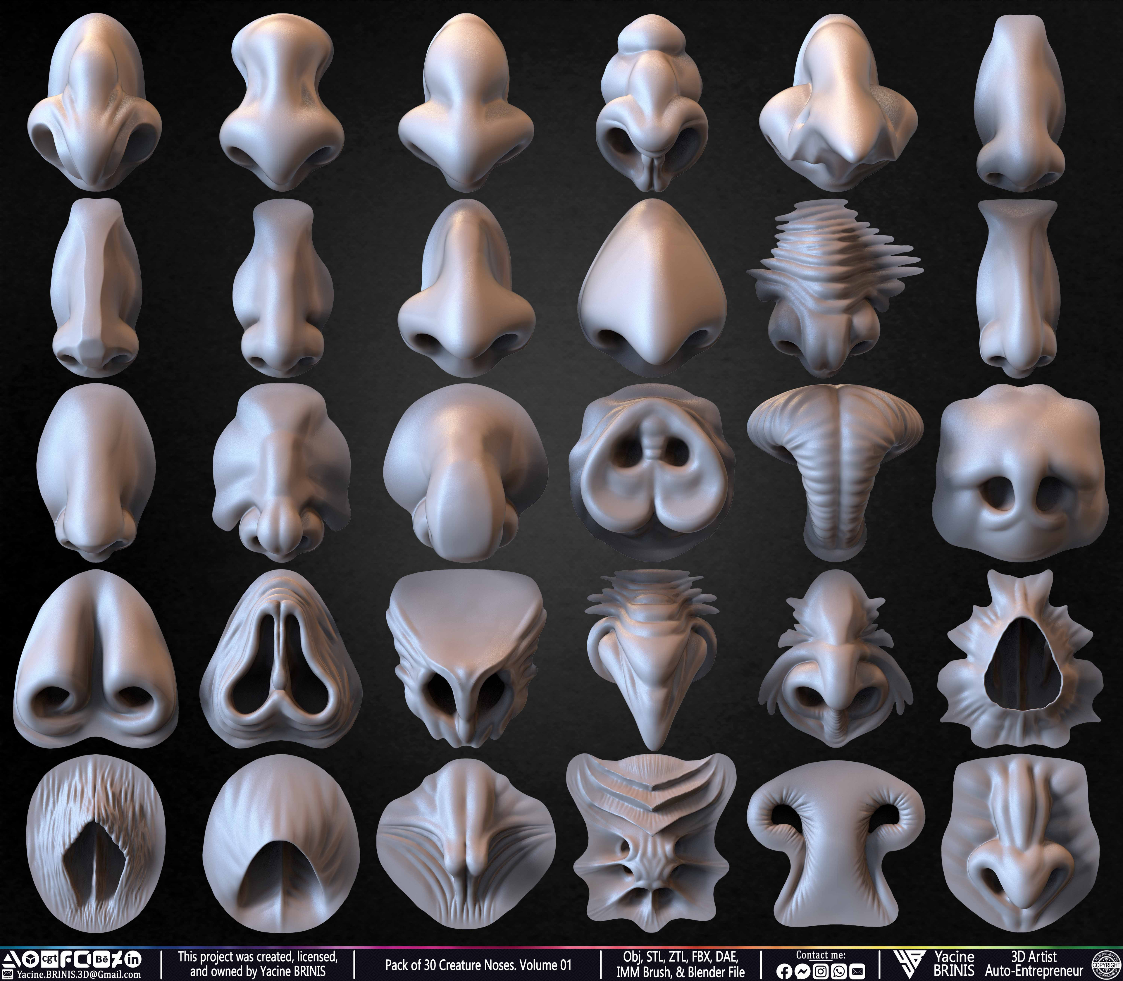 Creature Nose VDM Brush Volume 01 Sculpted by Yacine BRINIS Set 008