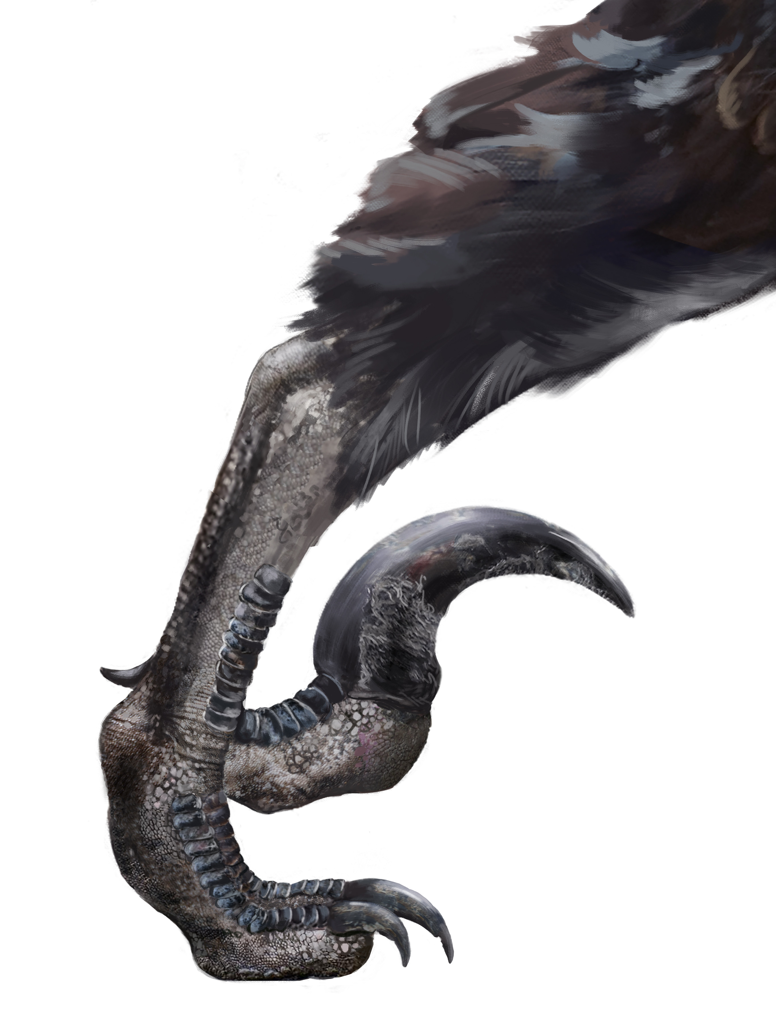 I was asked of a close up of the foot, for the modelers to make it more realistic.