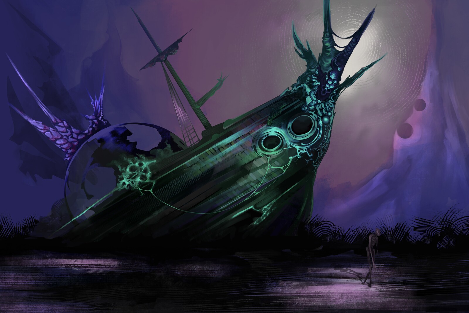 Pirate ship concept