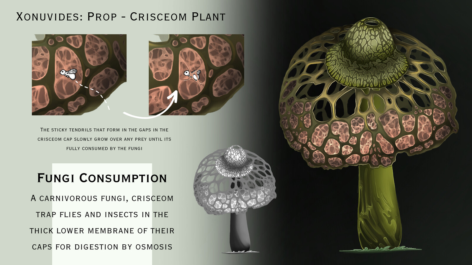 Mushroom prop design