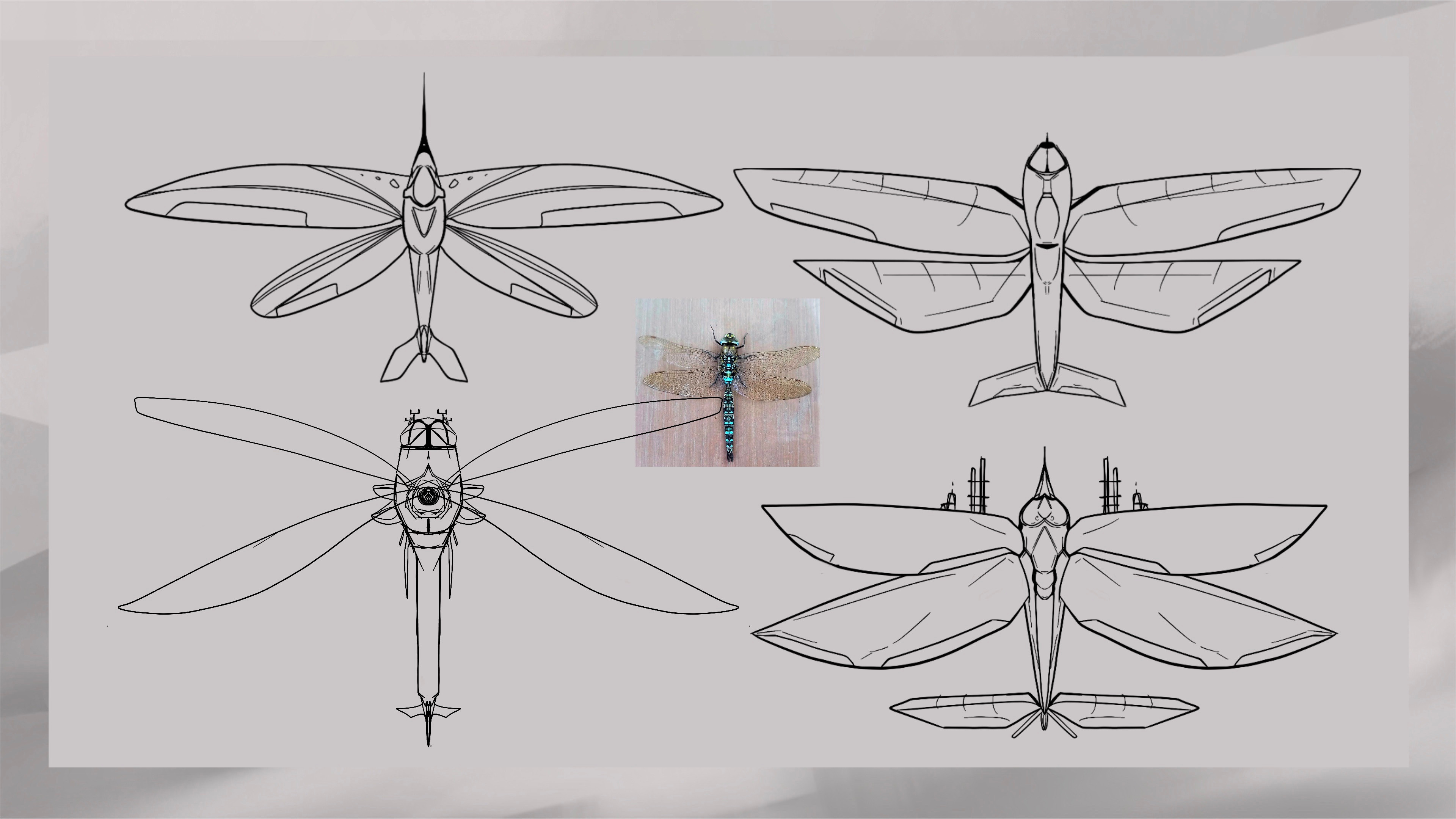 I would eventually follow this dragon fly route - as dragon flies are some of natures best fliers. This company designs based off animals, so it makes sense to learn from nature itself.