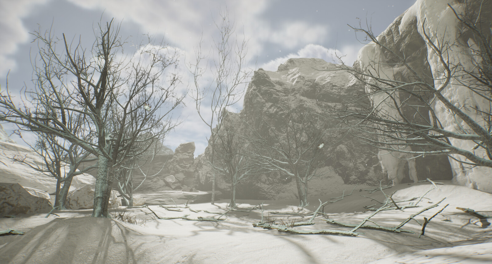 Outdoor winter forest
