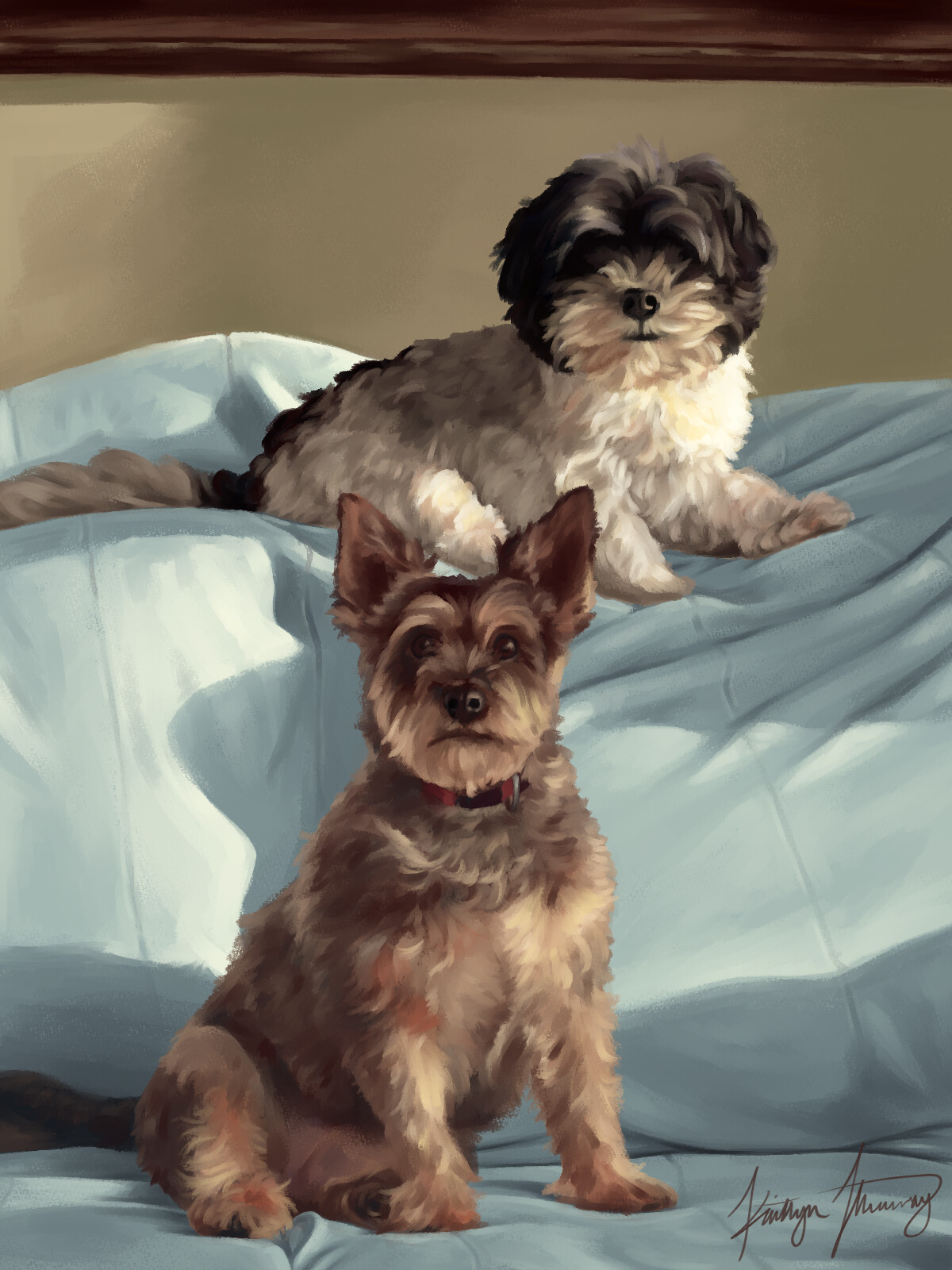 Pet Study