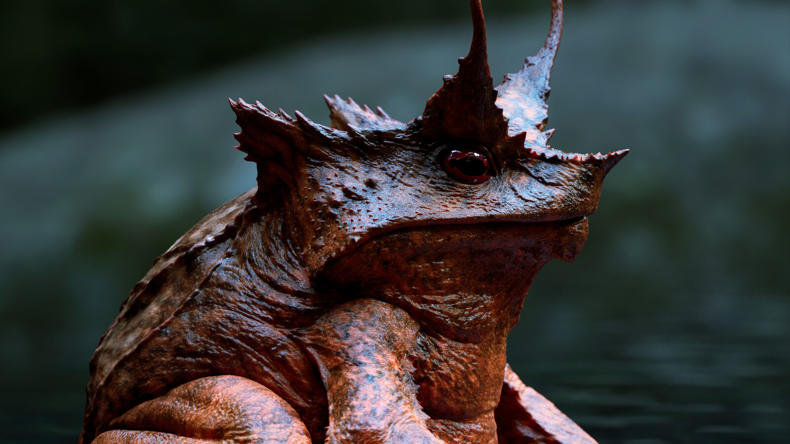 Frog - 3D Concept