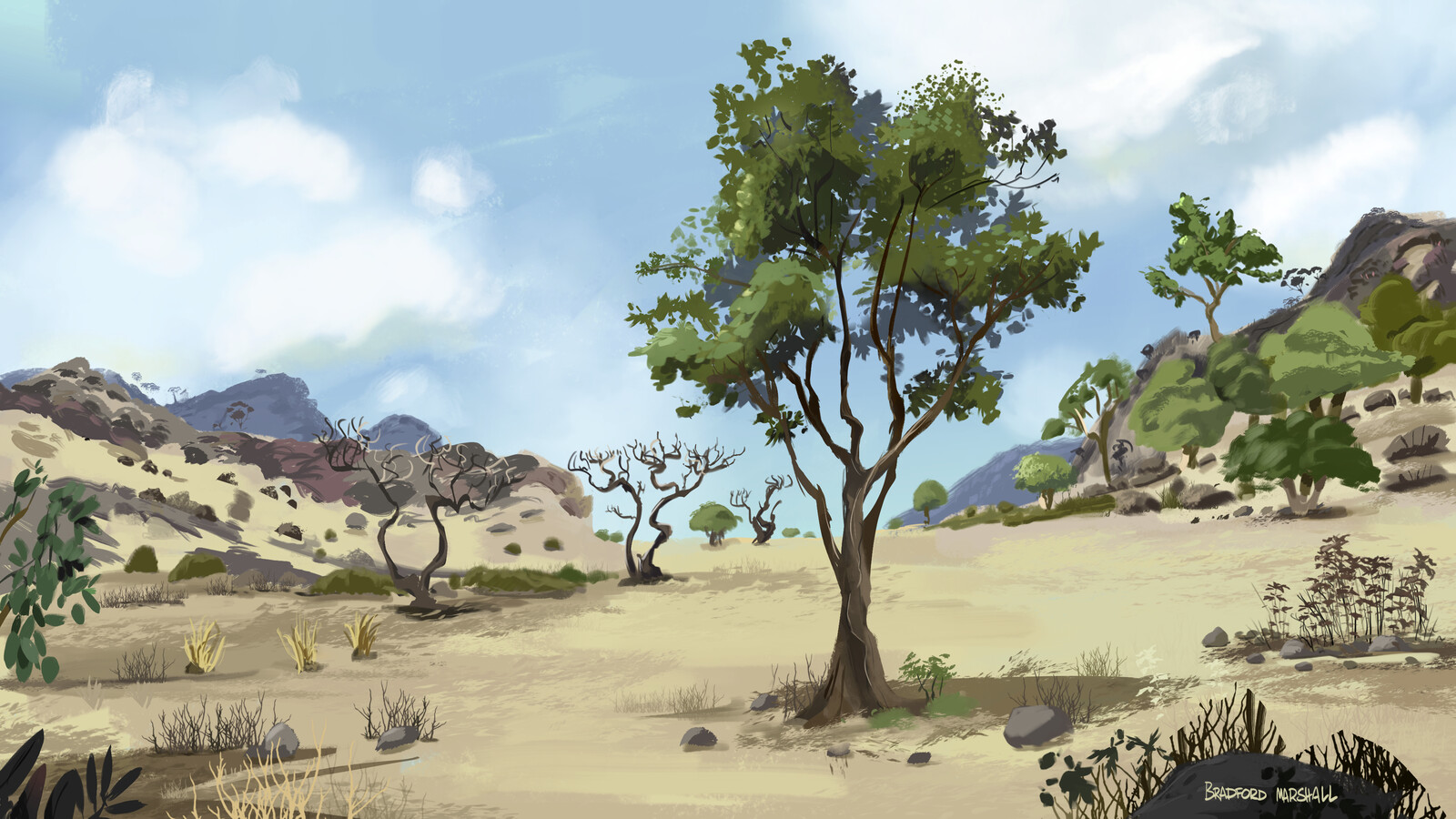 Patagonia- Background Design