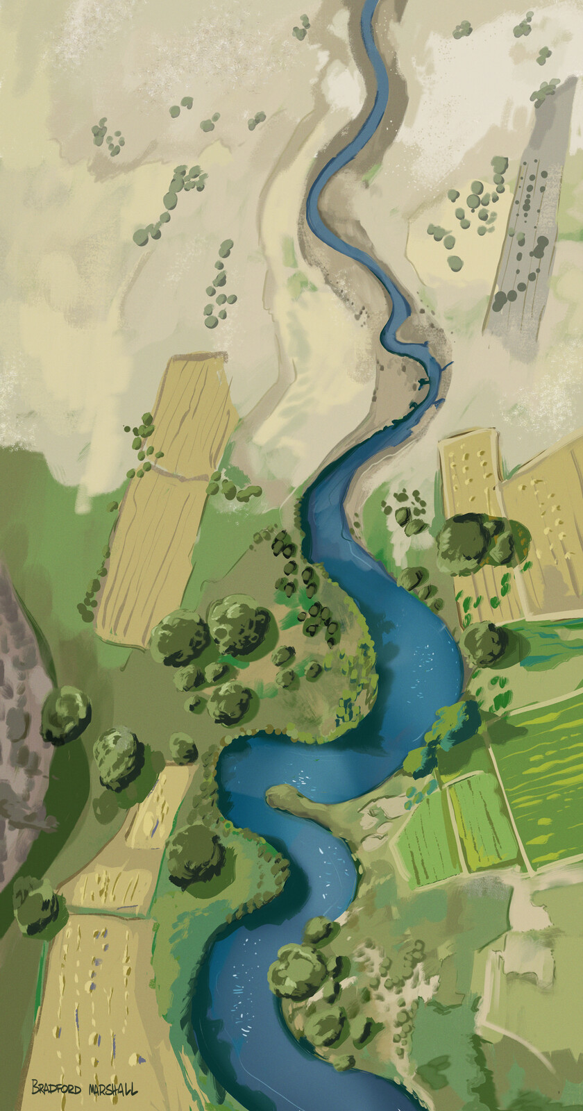 South America- background design