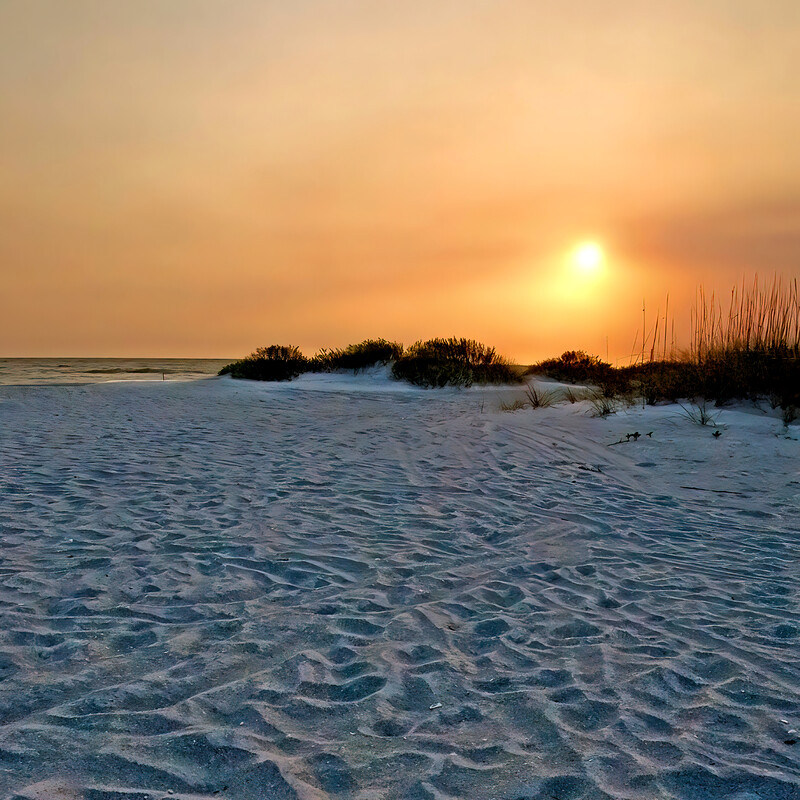 Evening Footprints