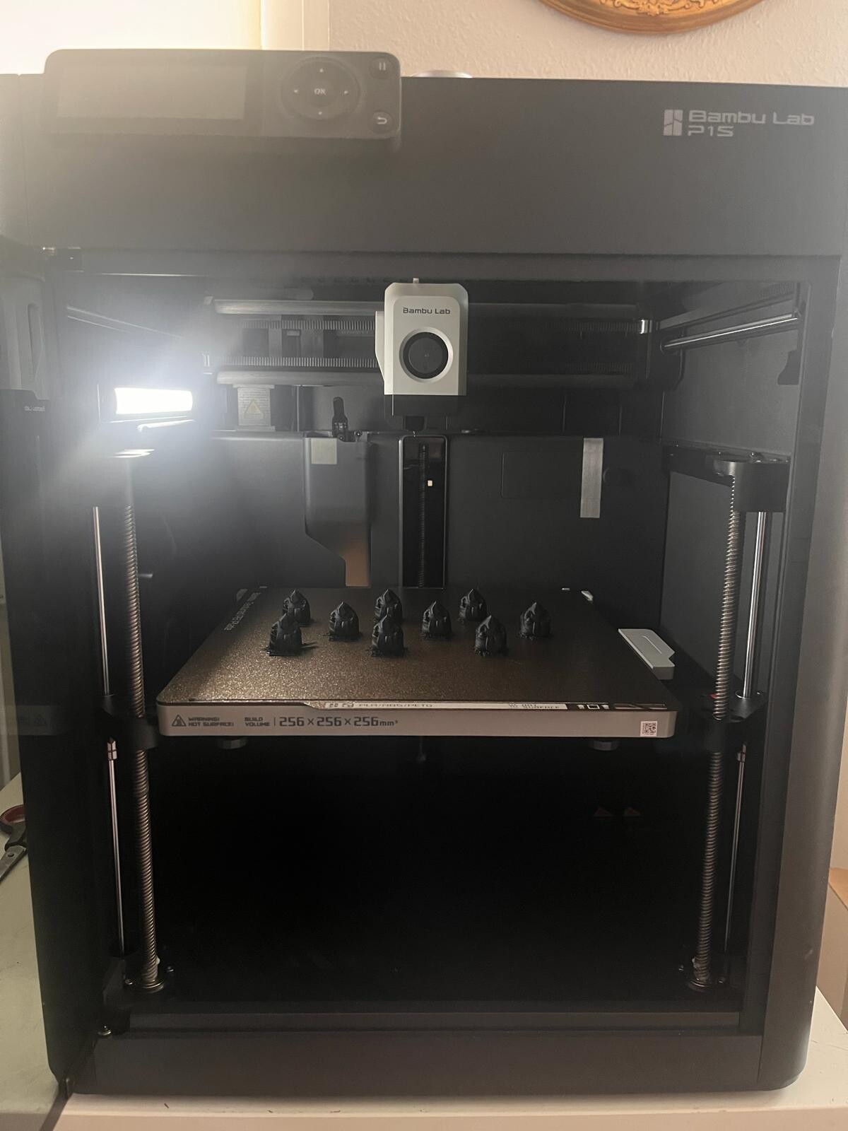 3D Printer with print
