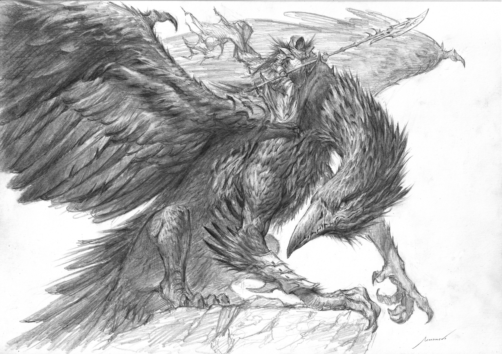 Sketch