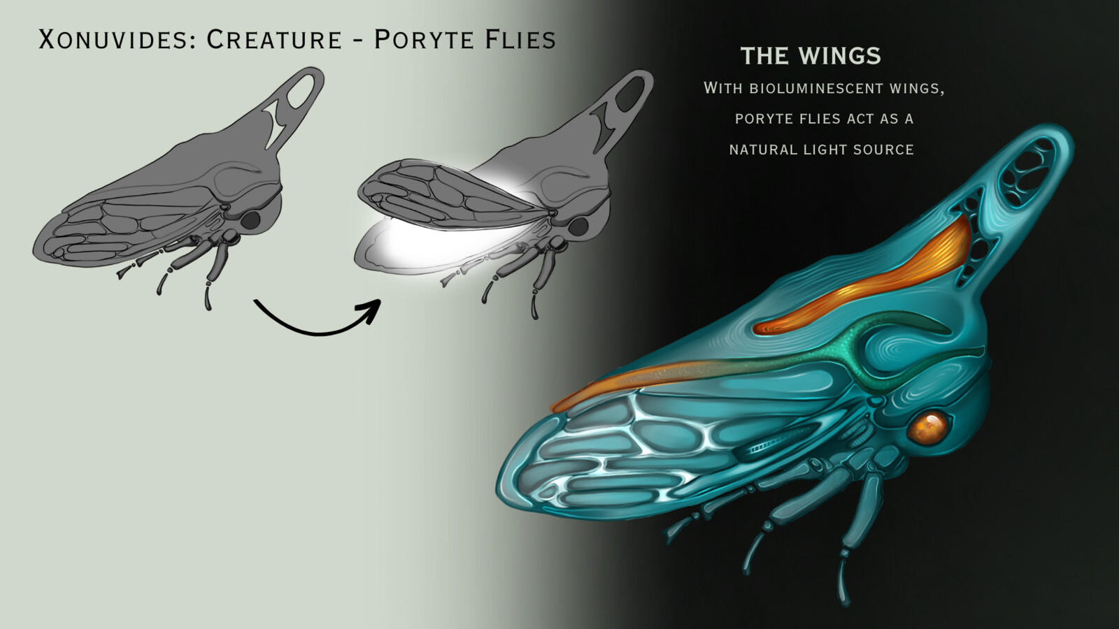 Bug creature design