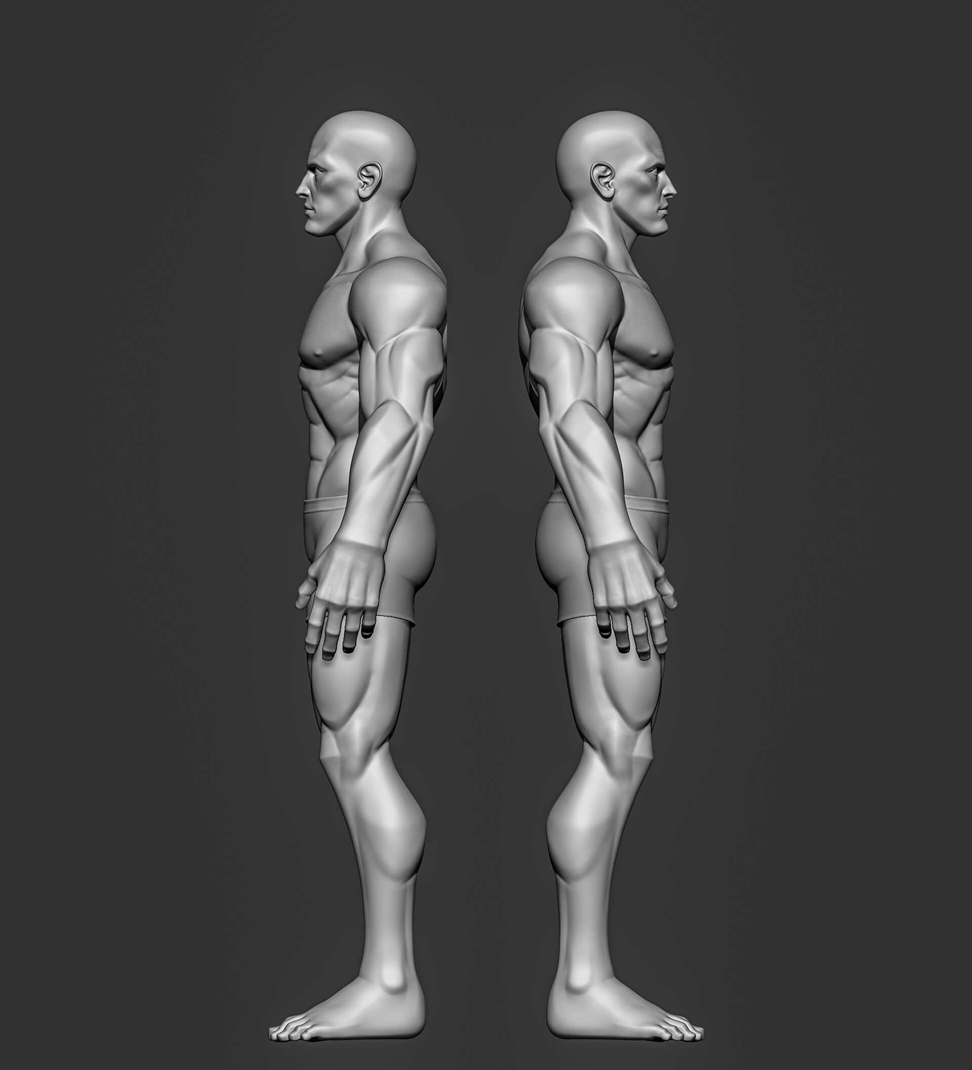 ArtStation - Male Anatomy ArtStation - Male Anatomy