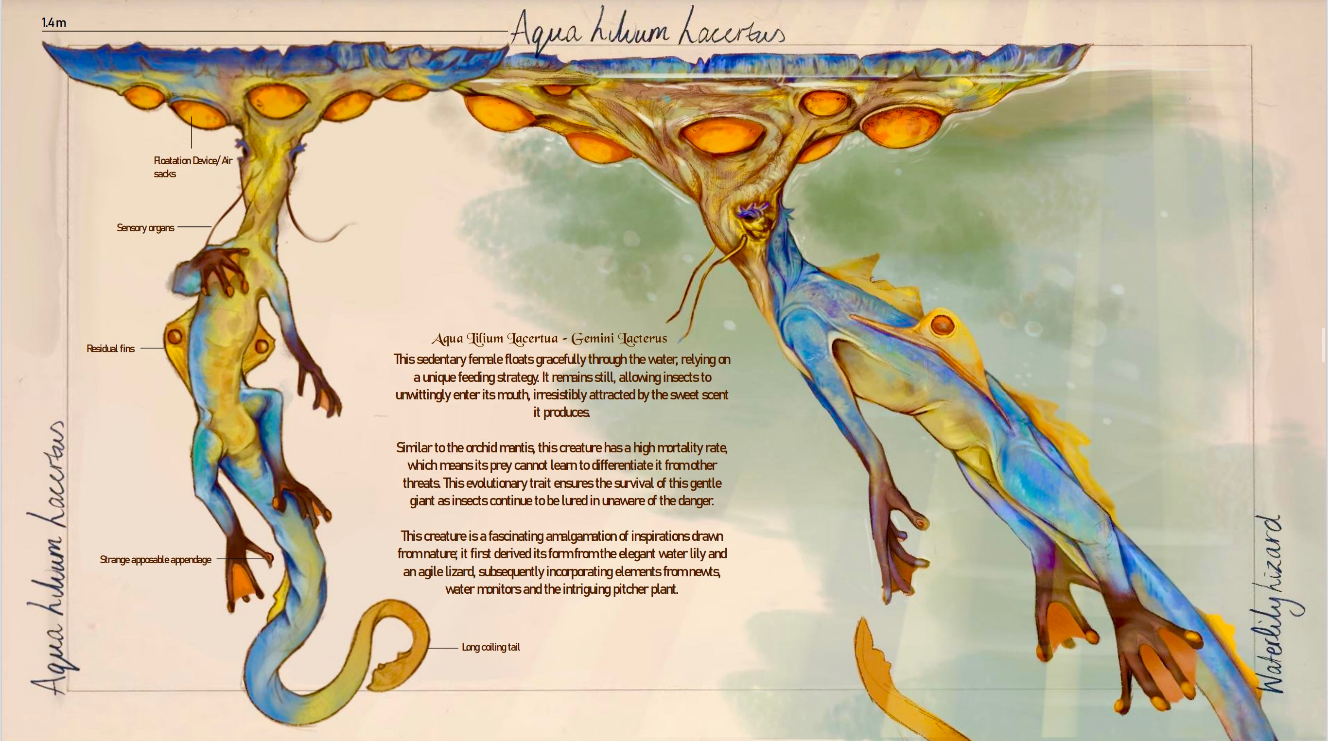 Aqua Lilium Lacertus