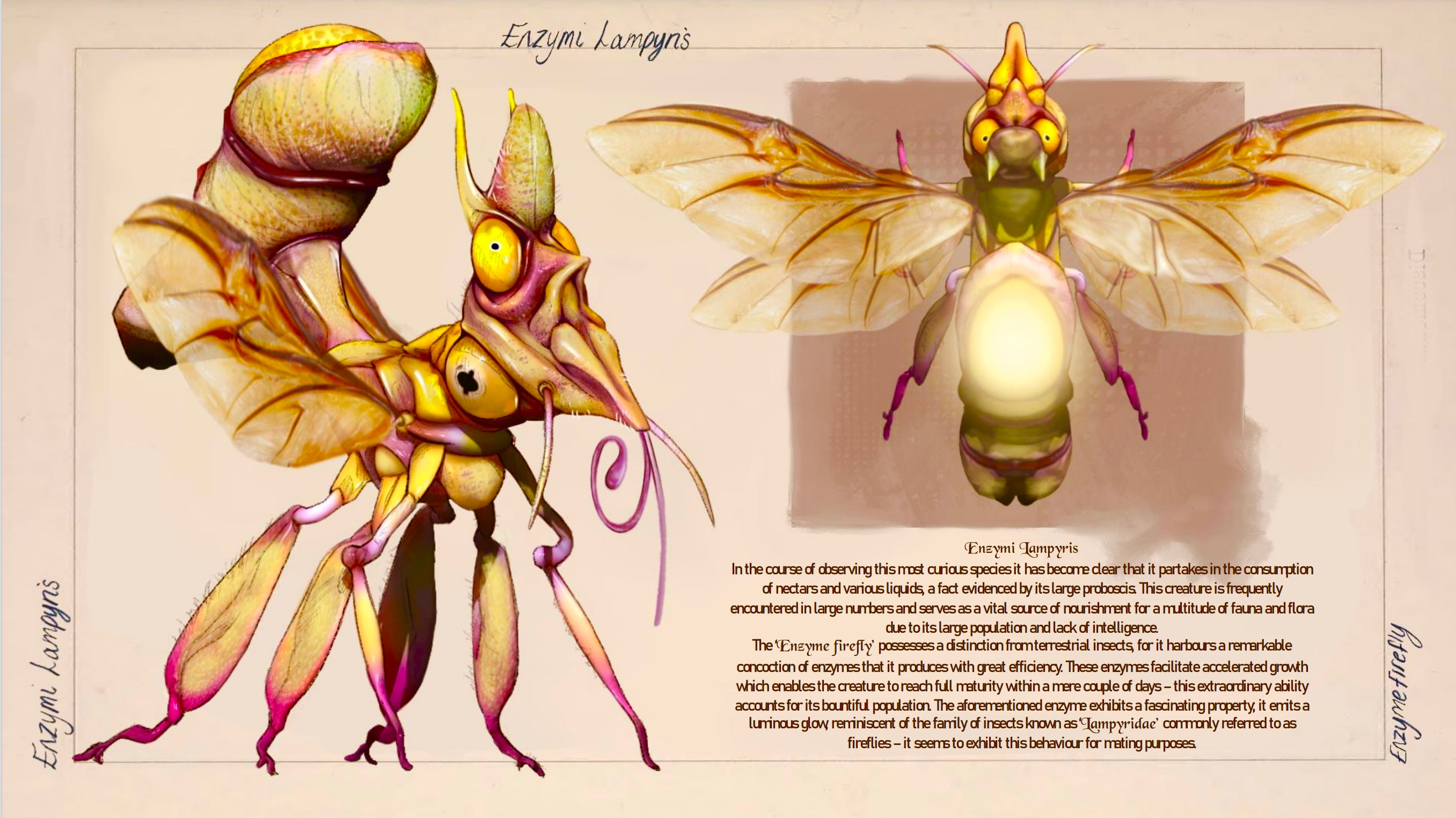 Enzymi Lampyris