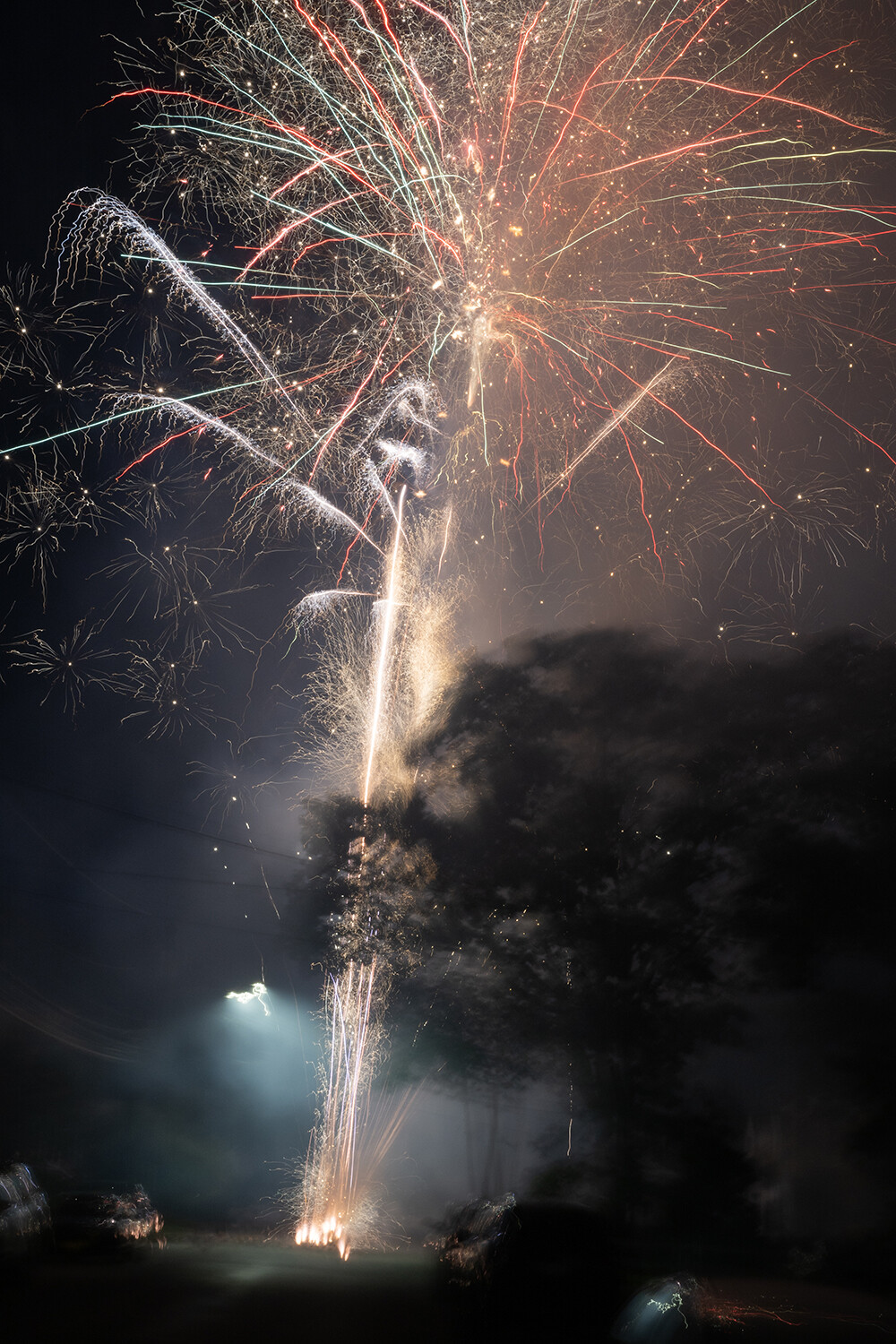 "Celestial Palm" 4th of July 2021