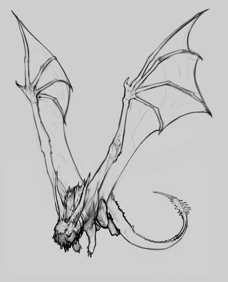 Concept