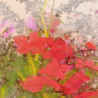 Autumn Paints