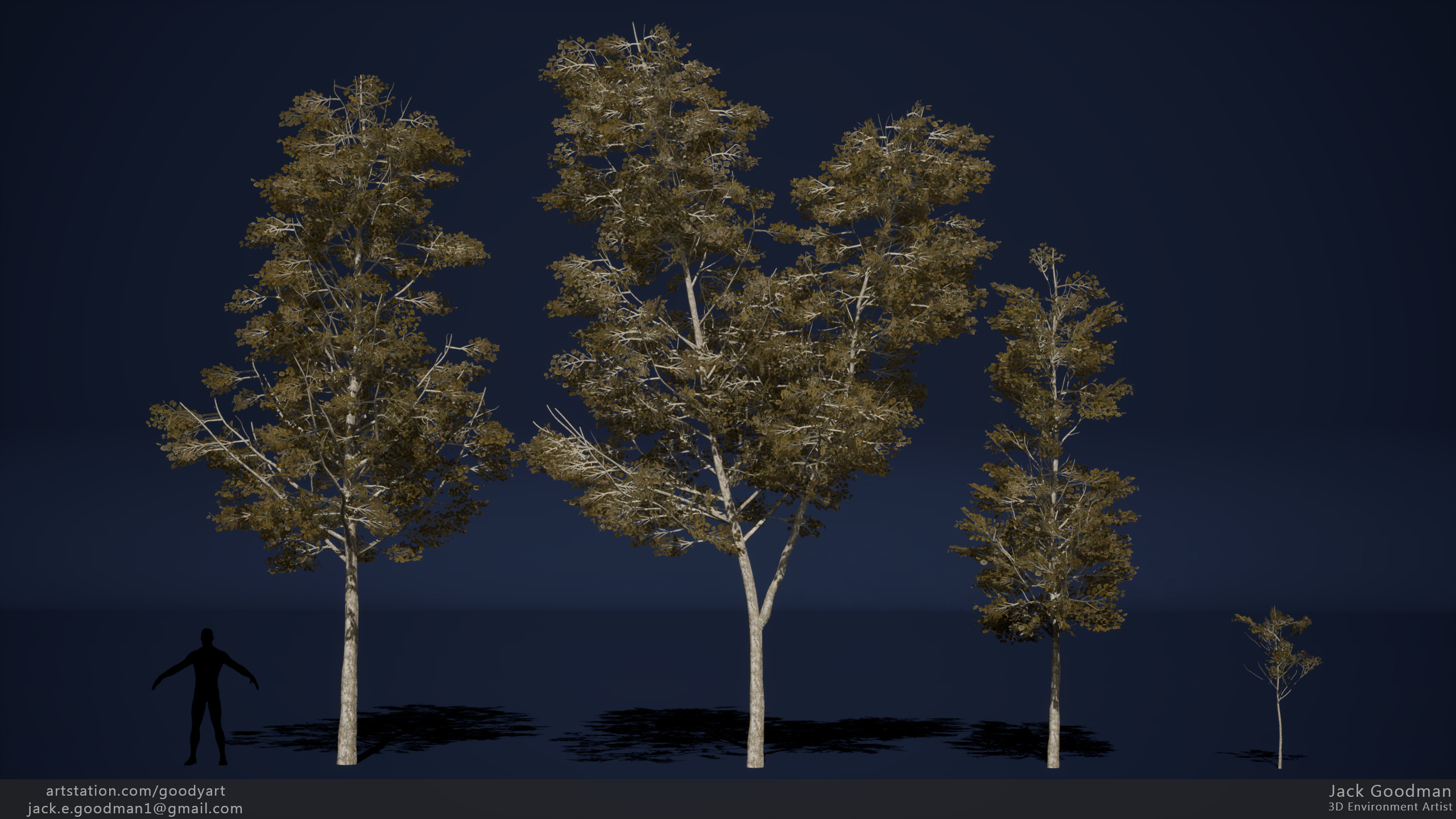 Trees - textures are Megascans but atlas and model assembled by me using SpeedTree.