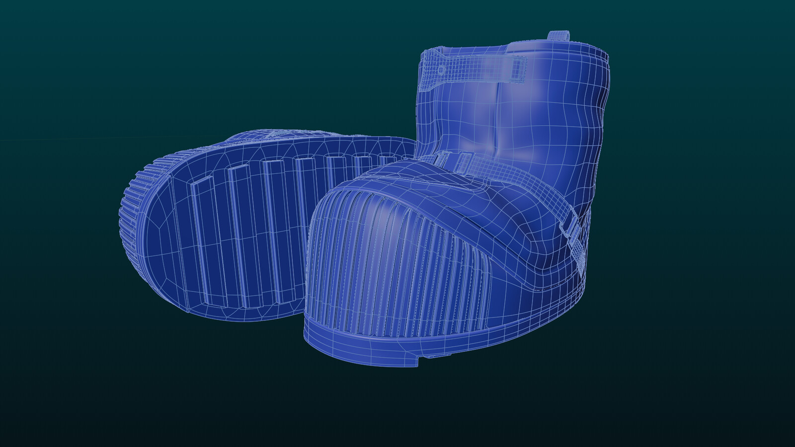 Overshoes, wireframe view