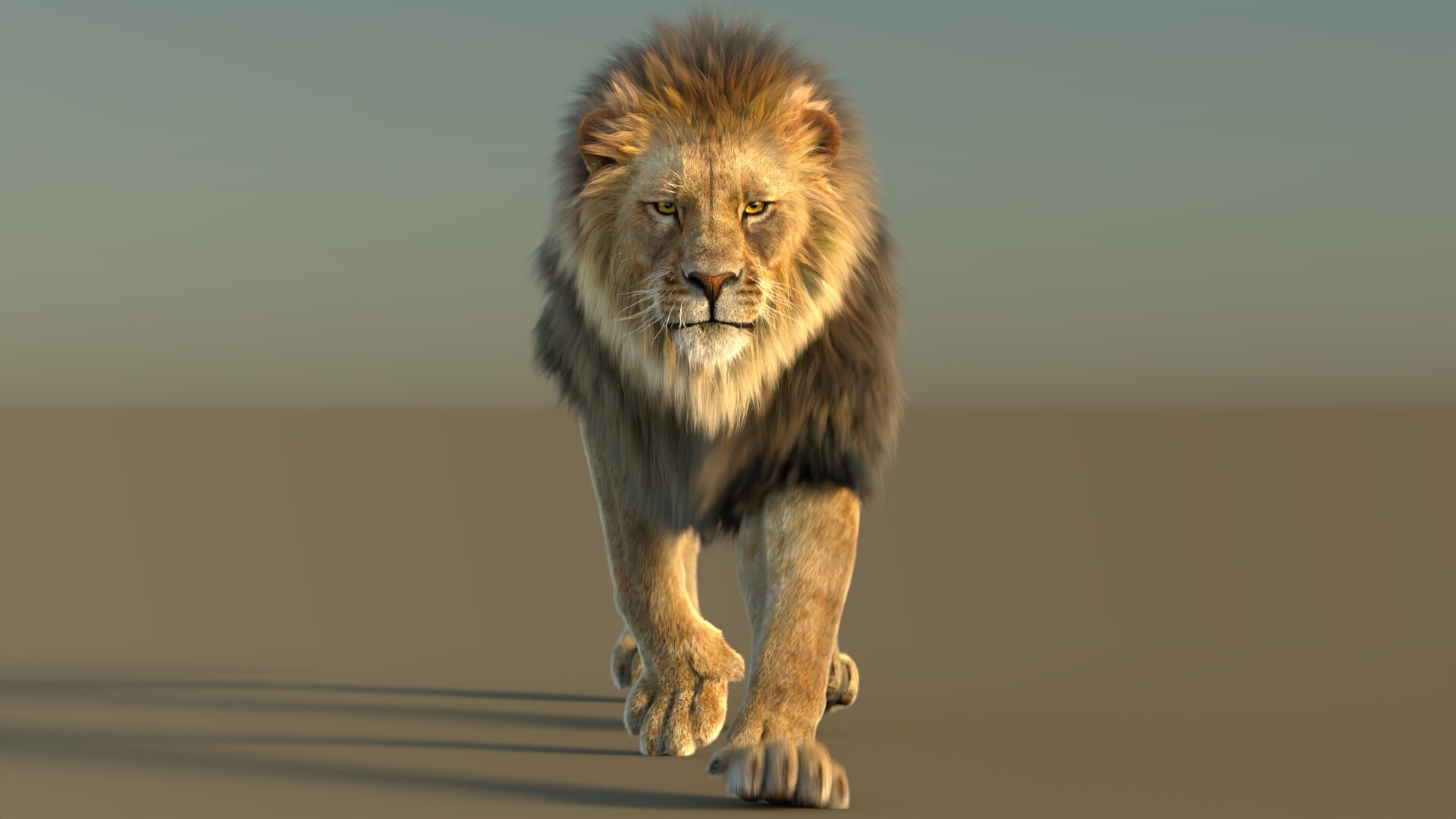 ArtStation - Animated Lion 3D Model with Fur | PROmax3D, image size:1920x1080