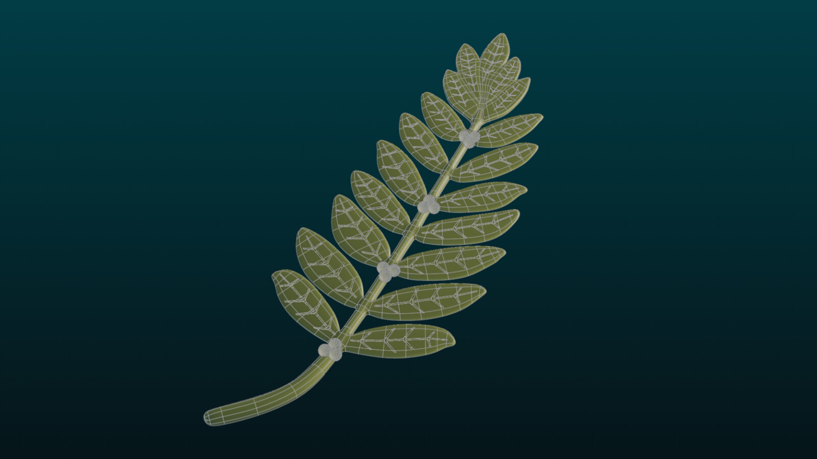 Olive Branch, wireframe view
