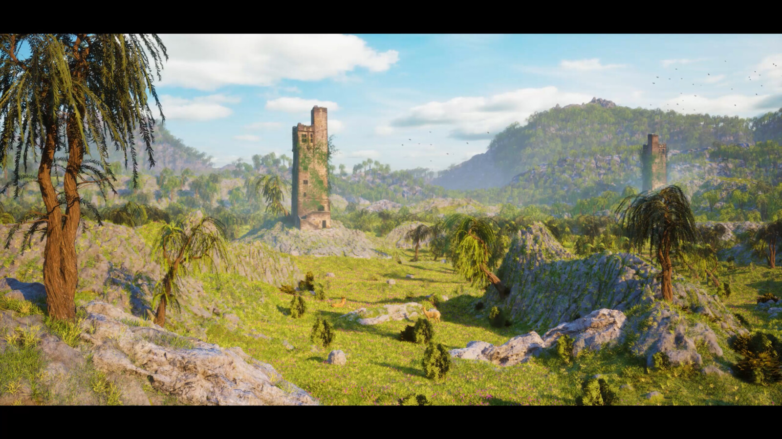 Still Frame