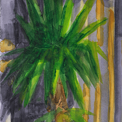 Plant Studies